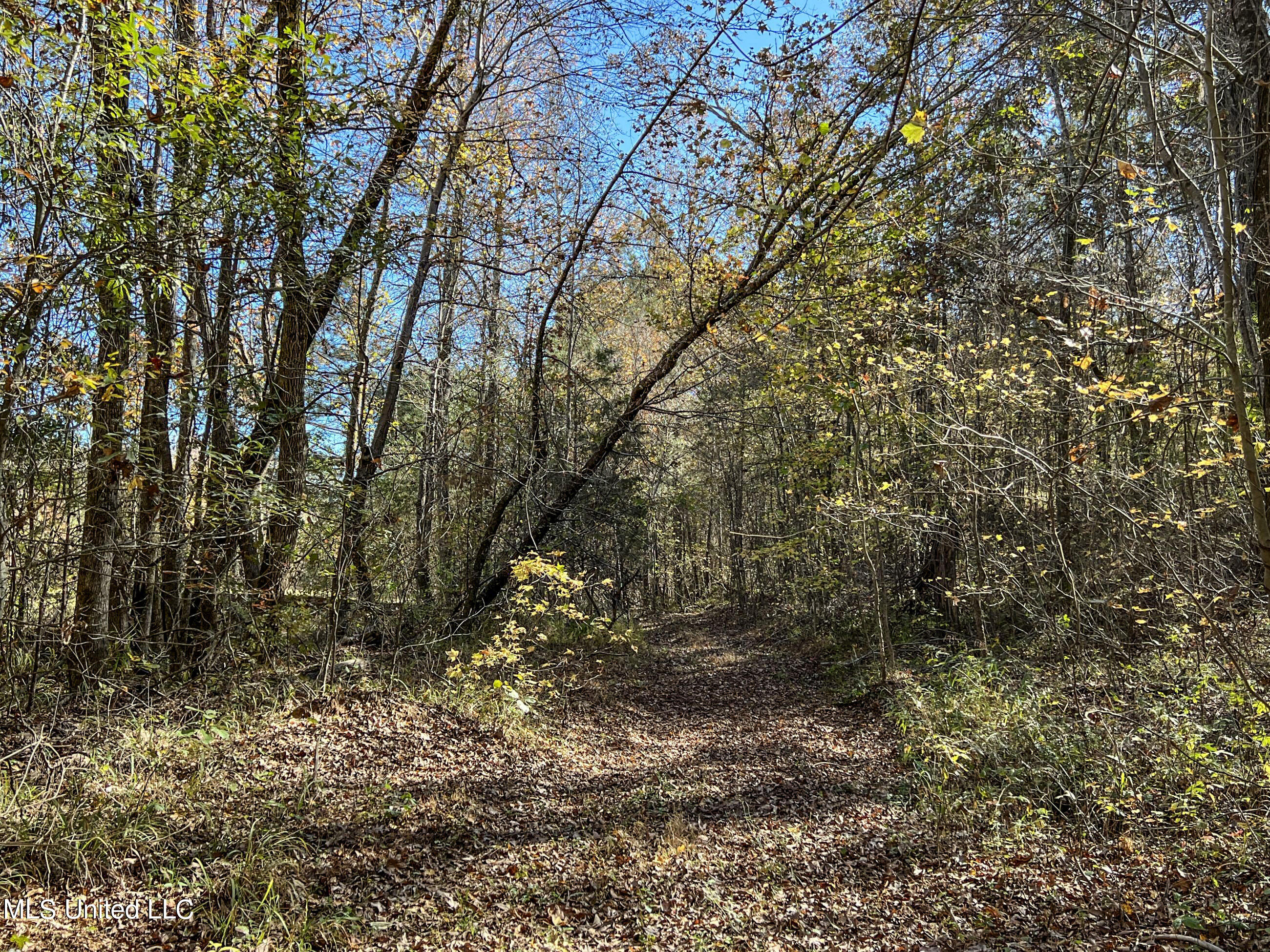 500 Westbrook Road Courtland, MS 38620 - Photo 146 of 156 cprk144