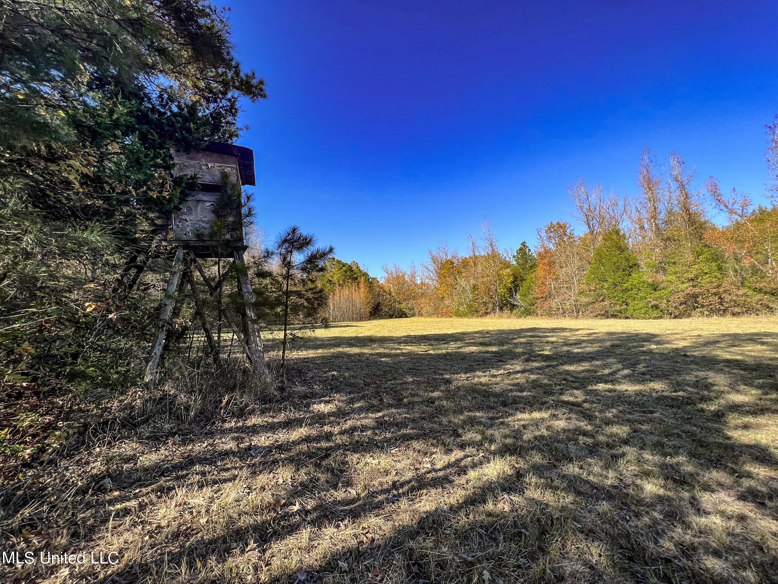 500 Westbrook Road Courtland, MS 38620 - Photo 150 of 156 cprk148