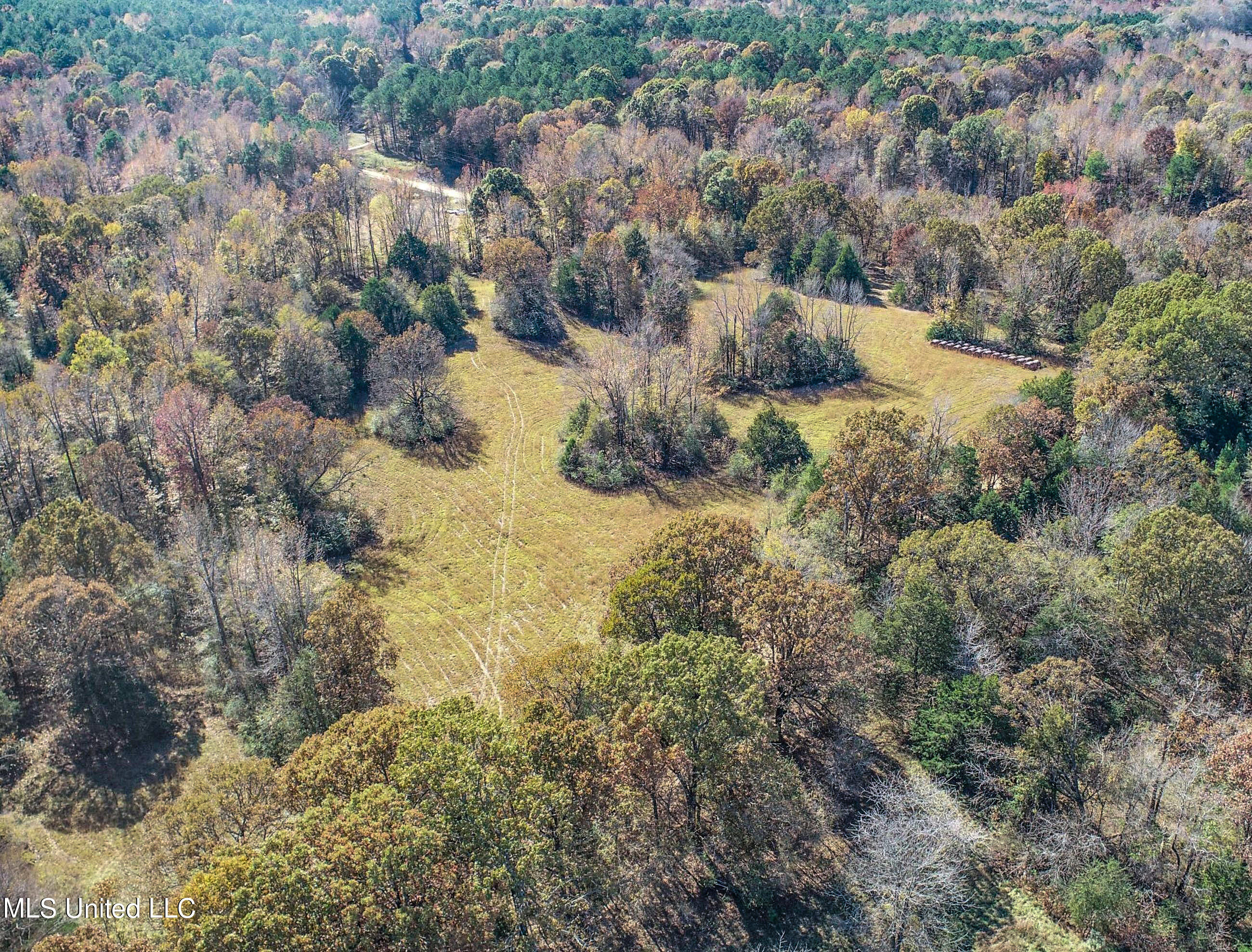 500 Westbrook Road Courtland, MS 38620 - Photo 15 of 156 3cprk9