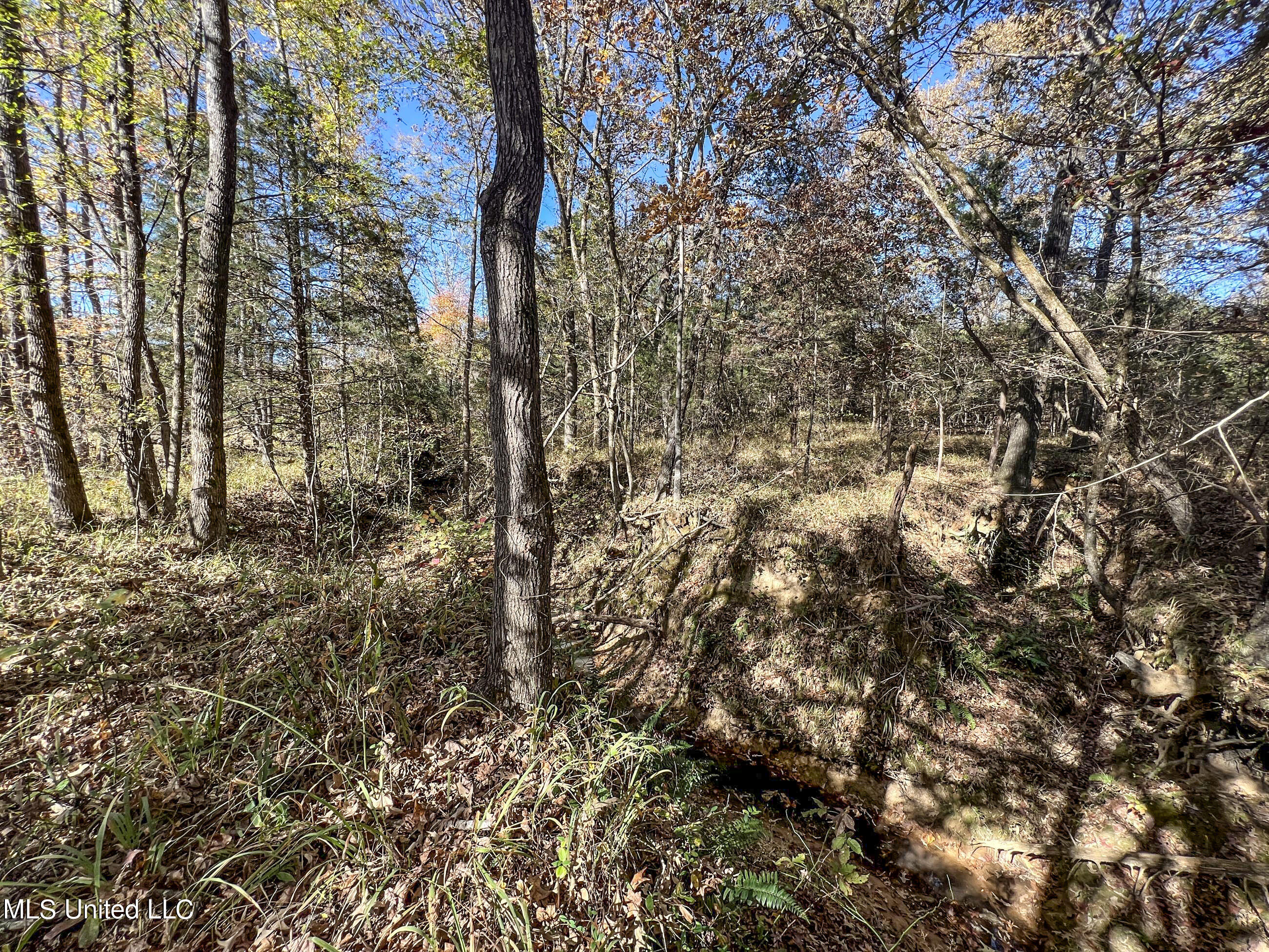 500 Westbrook Road Courtland, MS 38620 - Photo 152 of 156 cprk150