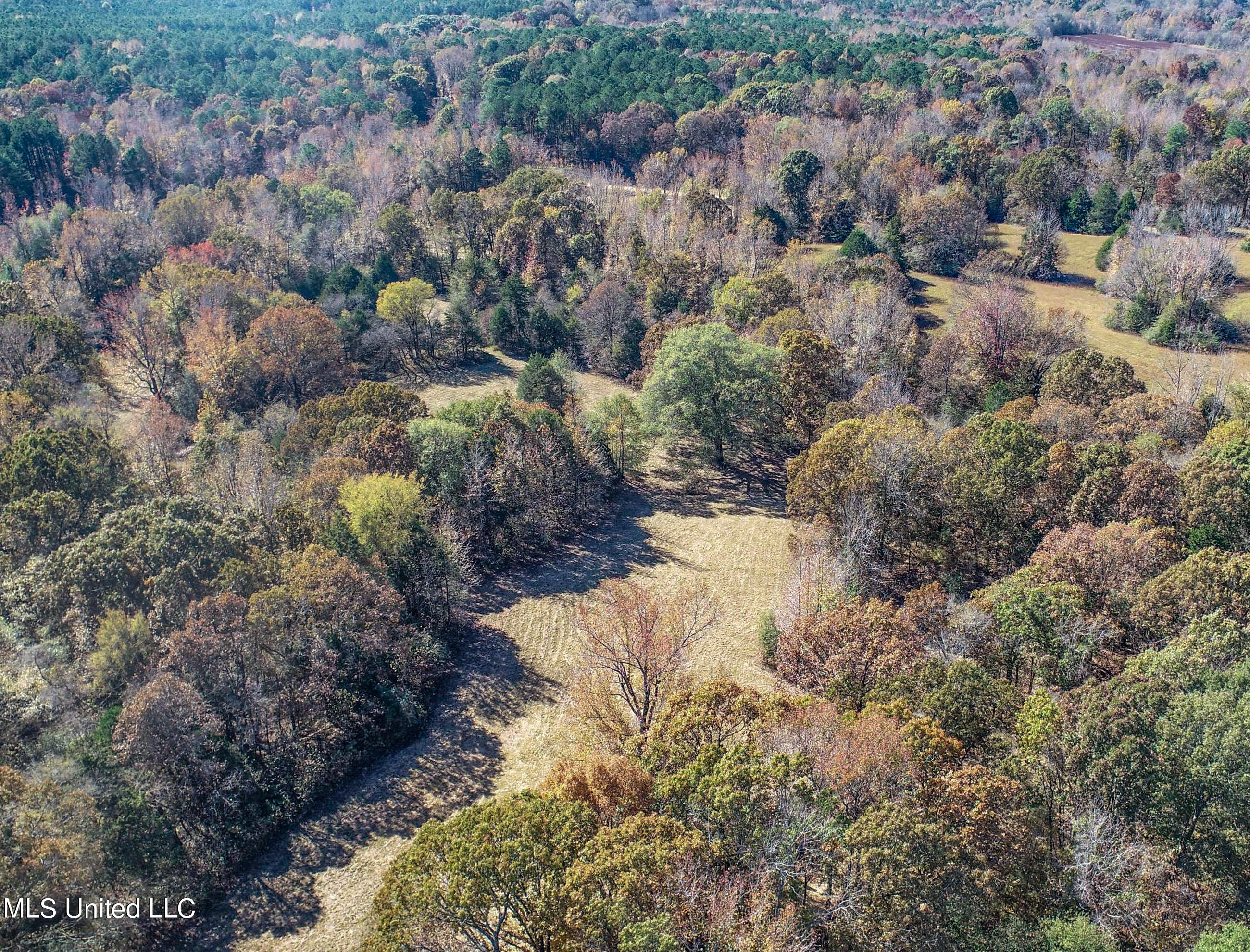 500 Westbrook Road Courtland, MS 38620 - Photo 16 of 156 3cprk10
