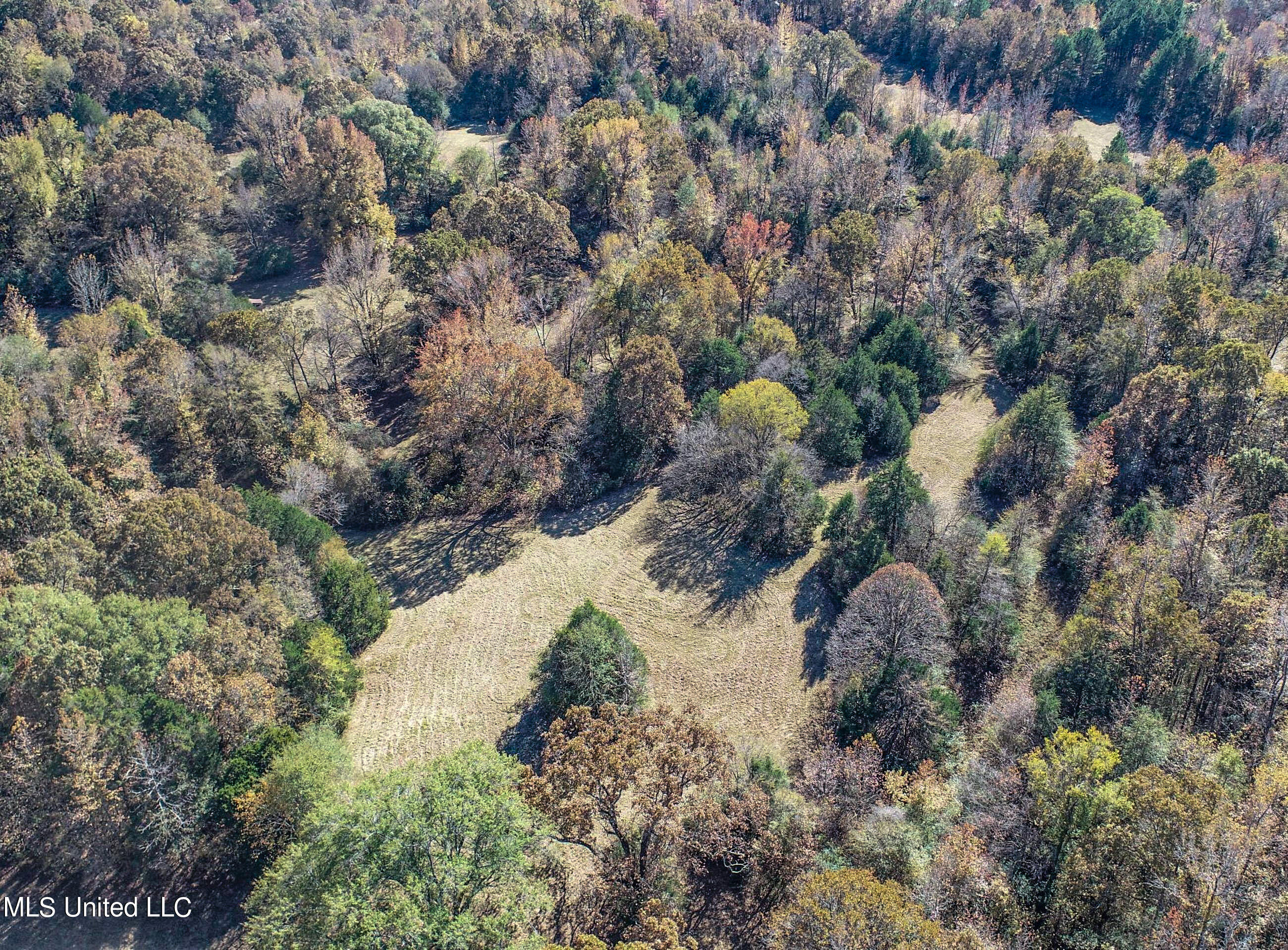 500 Westbrook Road Courtland, MS 38620 - Photo 17 of 156 3cprk11