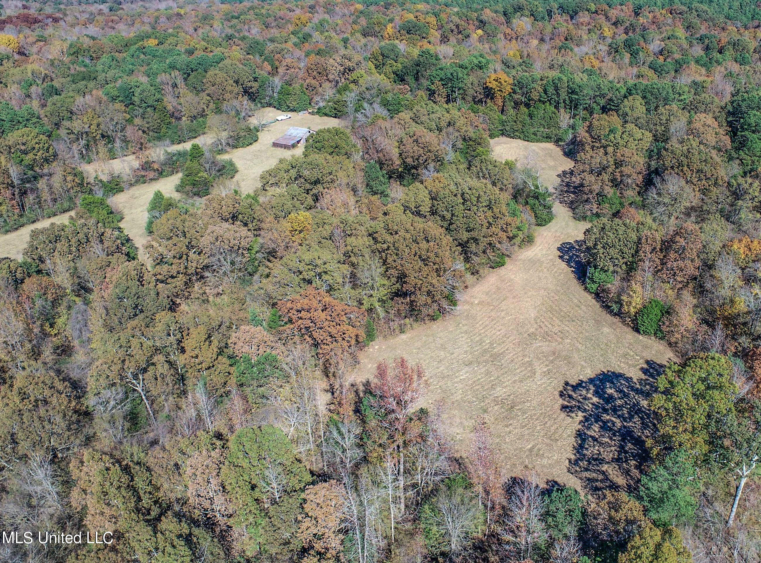 500 Westbrook Road Courtland, MS 38620 - Photo 19 of 156 3cprk13