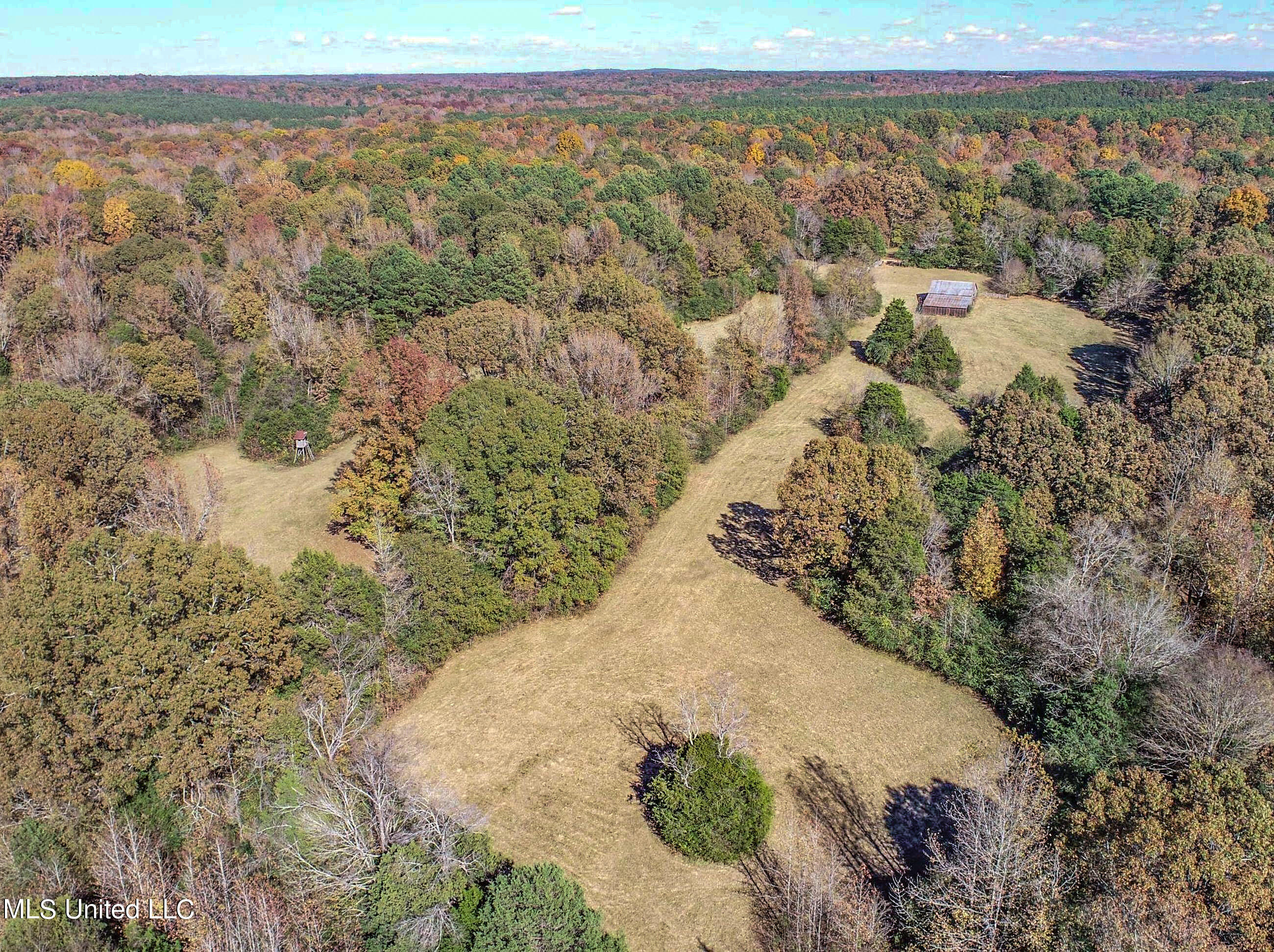 500 Westbrook Road Courtland, MS 38620 - Photo 20 of 156 3cprk14