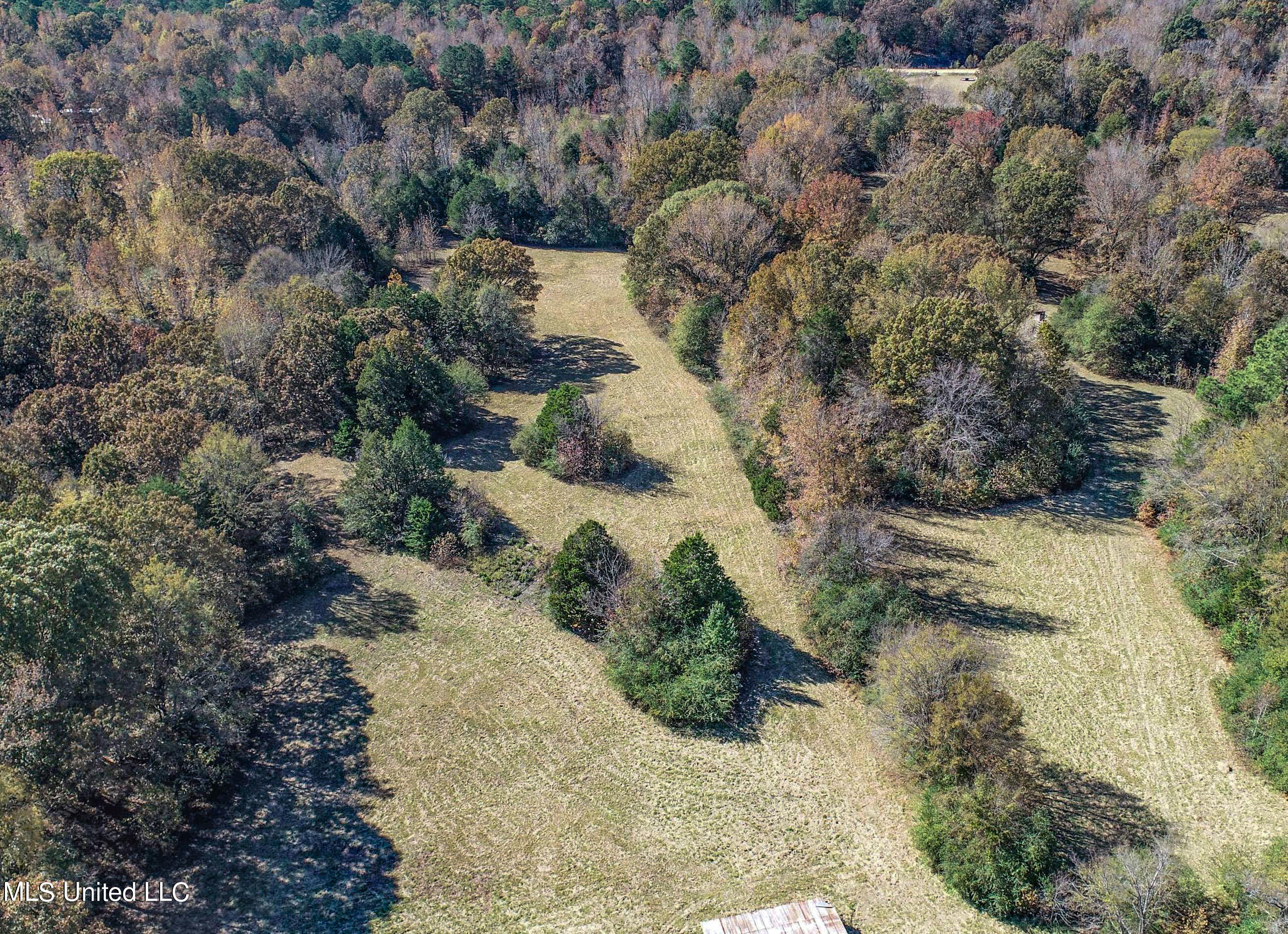 500 Westbrook Road Courtland, MS 38620 - Photo 24 of 156 3cprk18