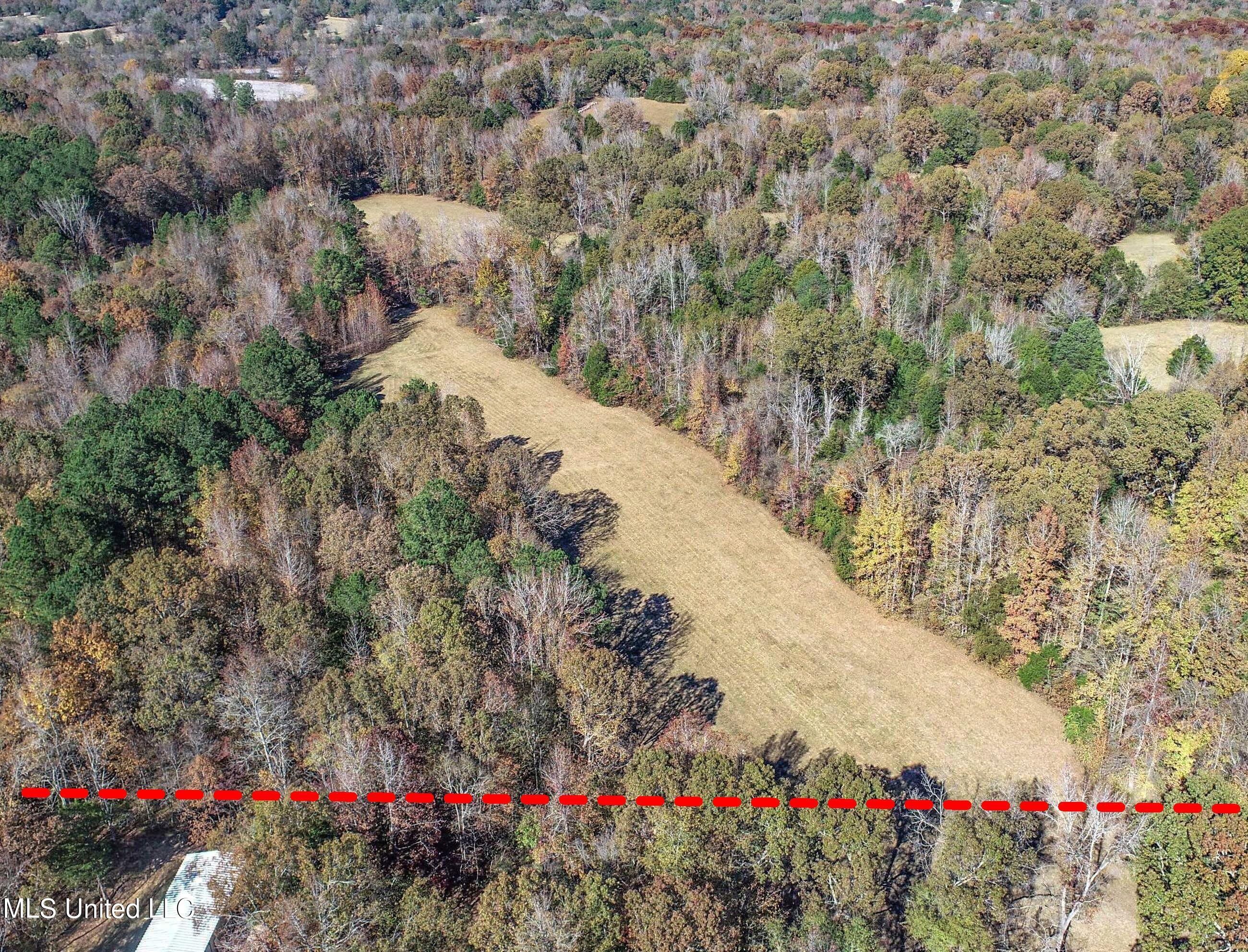 500 Westbrook Road Courtland, MS 38620 - Photo 29 of 156 3cprk23