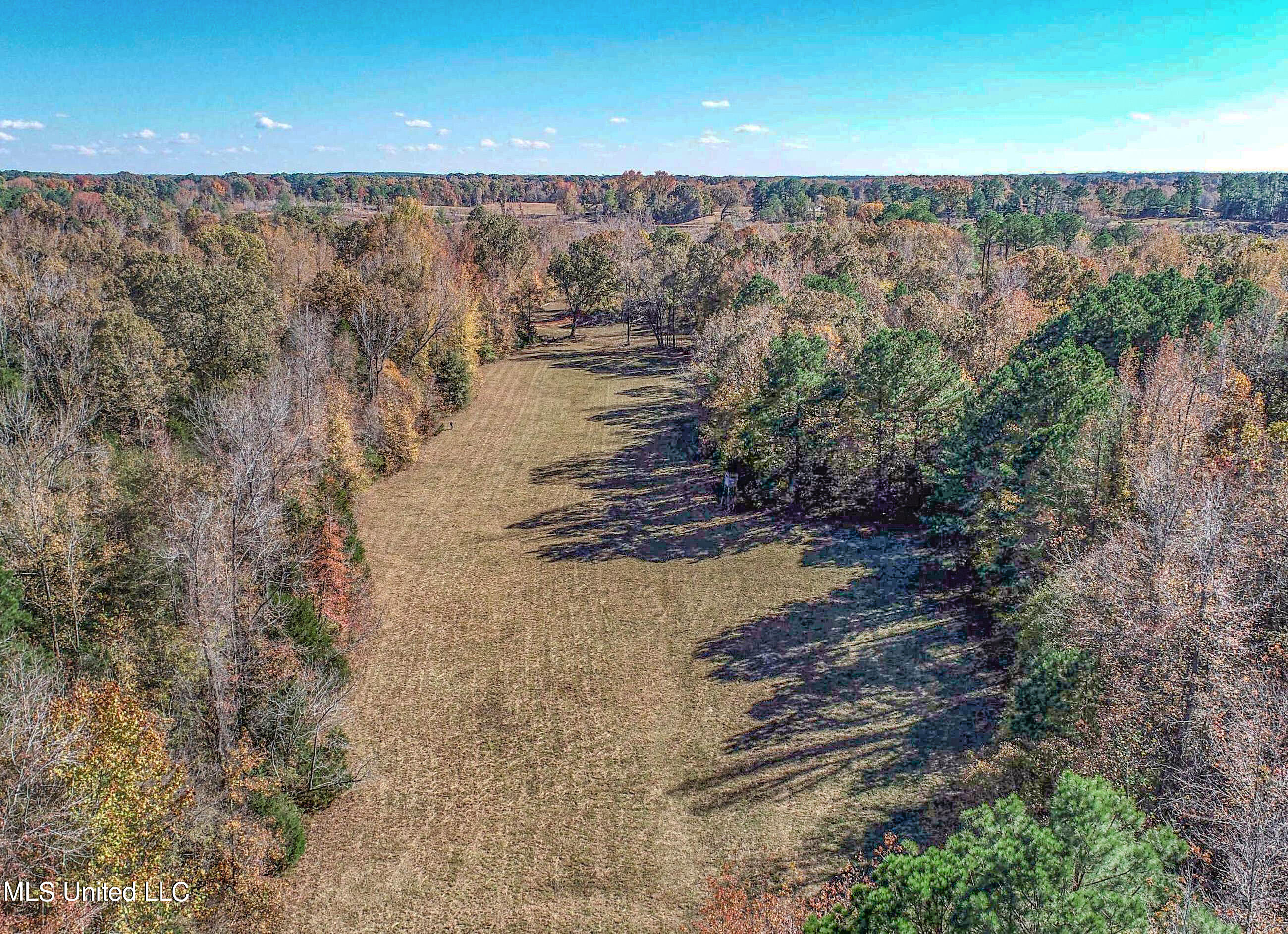 500 Westbrook Road Courtland, MS 38620 - Photo 30 of 156 3cprk24