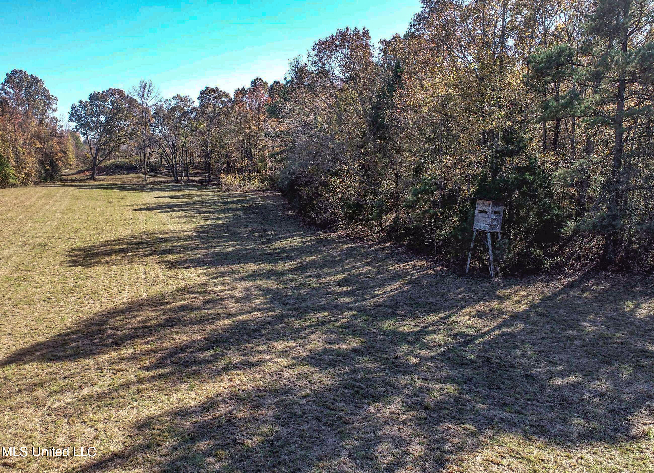 500 Westbrook Road Courtland, MS 38620 - Photo 32 of 156 3cprk26