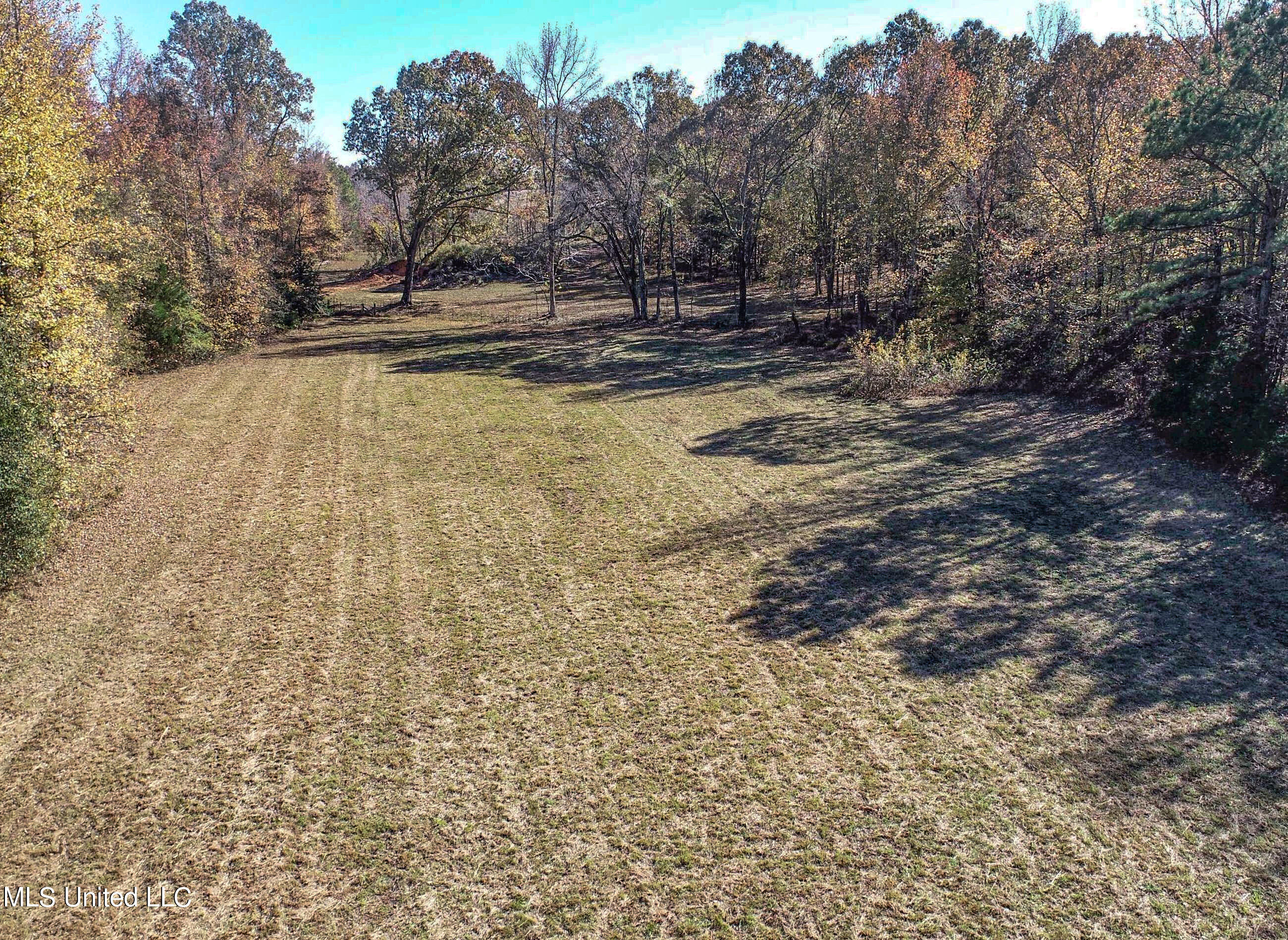 500 Westbrook Road Courtland, MS 38620 - Photo 34 of 156 3cprk28