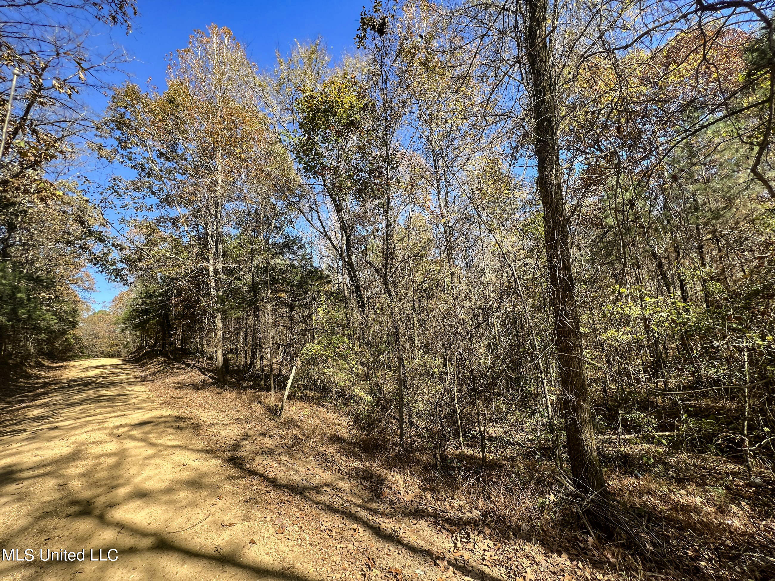 500 Westbrook Road Courtland, MS 38620 - Photo 35 of 156 cprk2