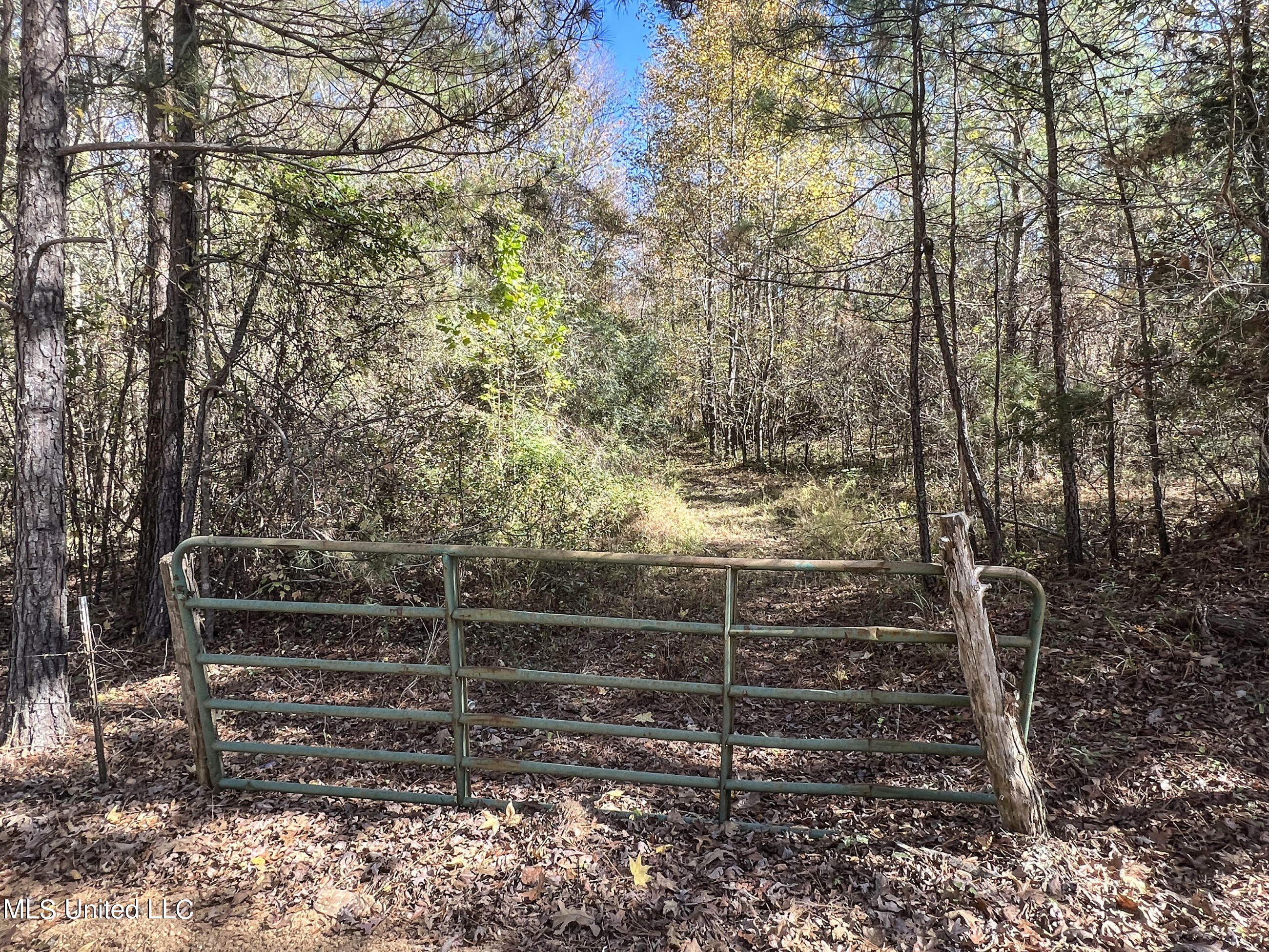 500 Westbrook Road Courtland, MS 38620 - Photo 38 of 156 cprk6