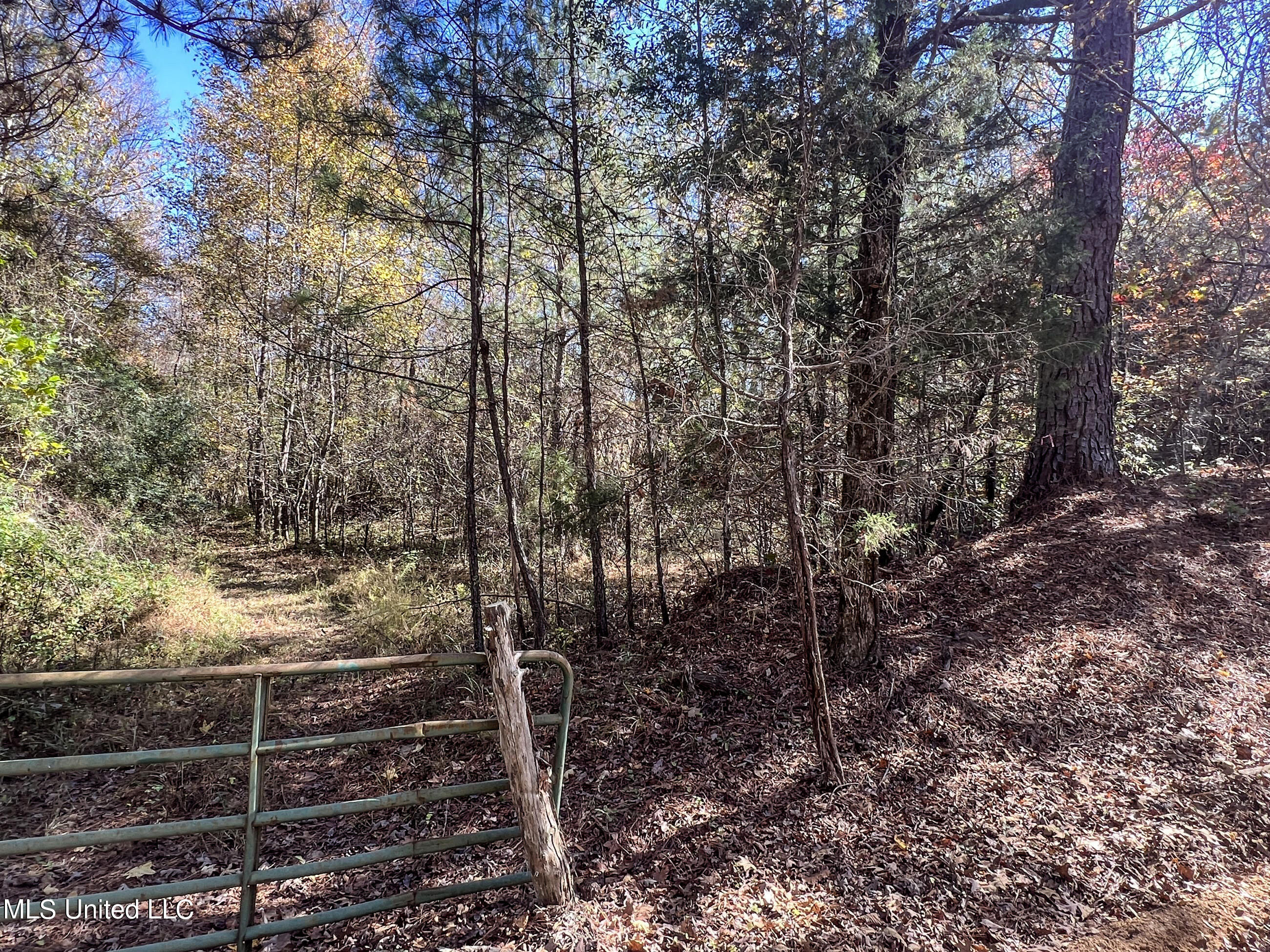 500 Westbrook Road Courtland, MS 38620 - Photo 39 of 156 cprk7