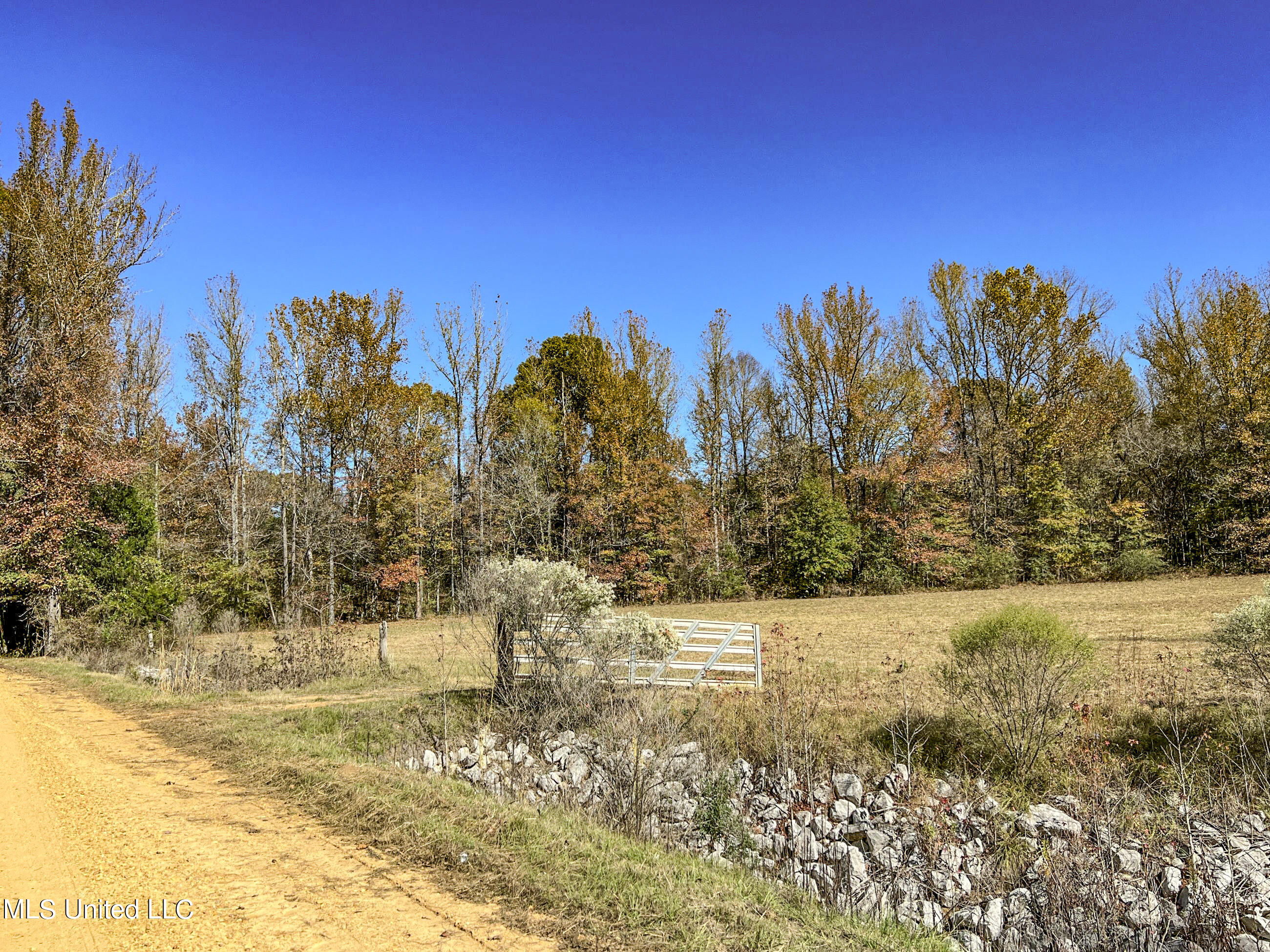 500 Westbrook Road Courtland, MS 38620 - Photo 41 of 156 cprk11