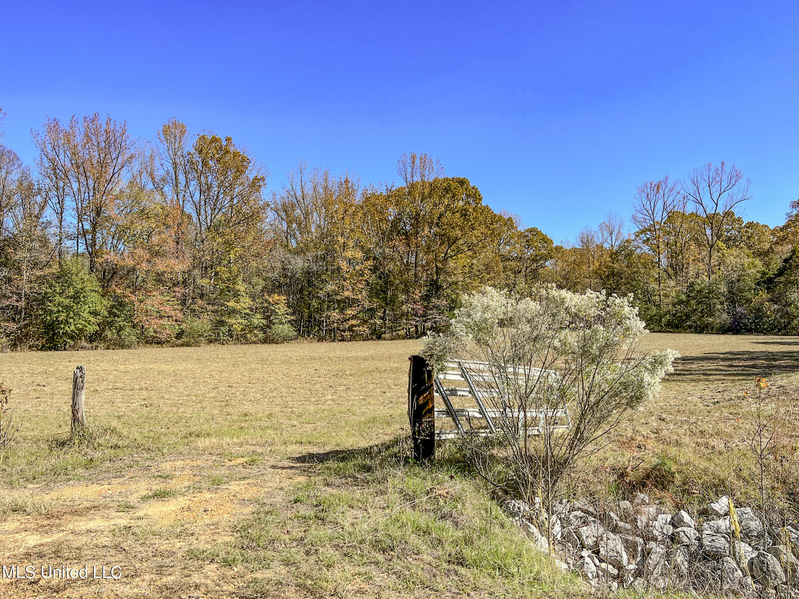 500 Westbrook Road Courtland, MS 38620 - Photo 42 of 156 cprk12