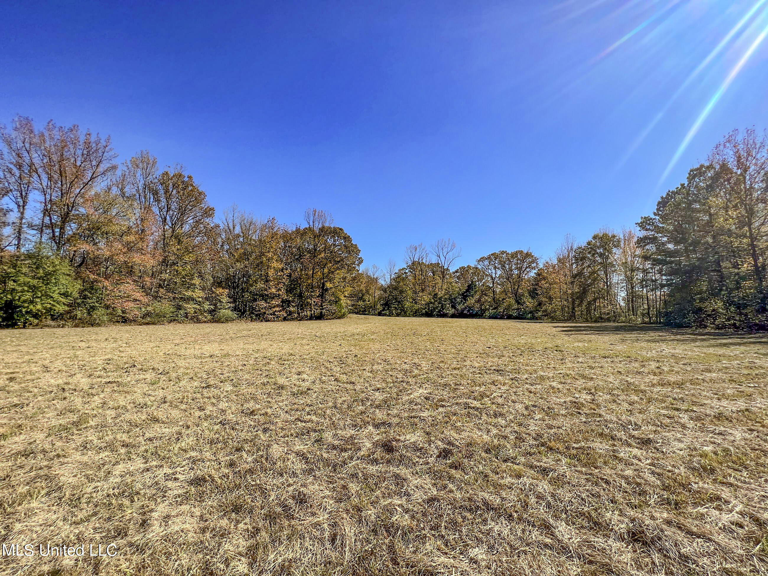 500 Westbrook Road Courtland, MS 38620 - Photo 45 of 156 cprk15