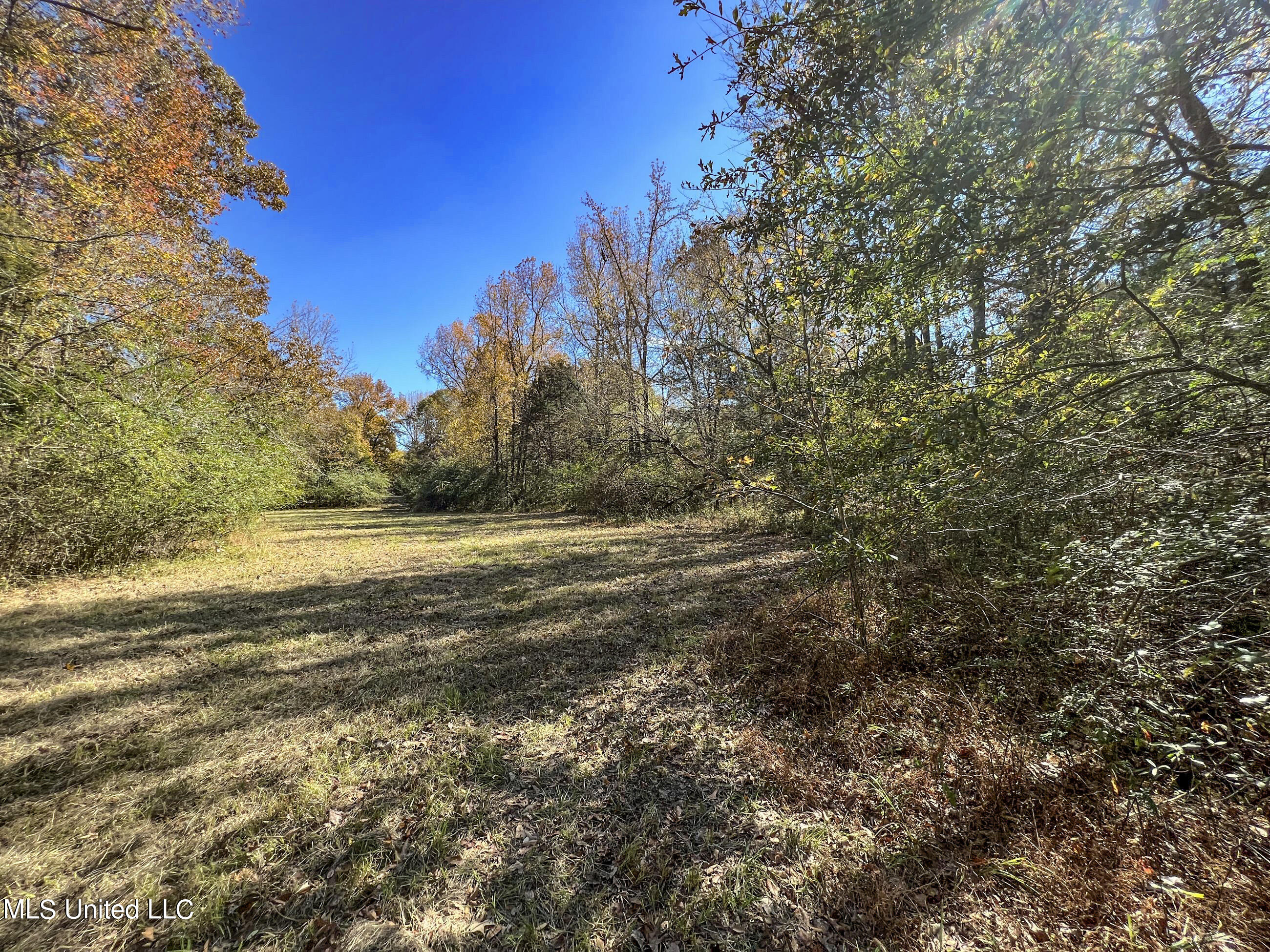 500 Westbrook Road Courtland, MS 38620 - Photo 48 of 156 cprk19