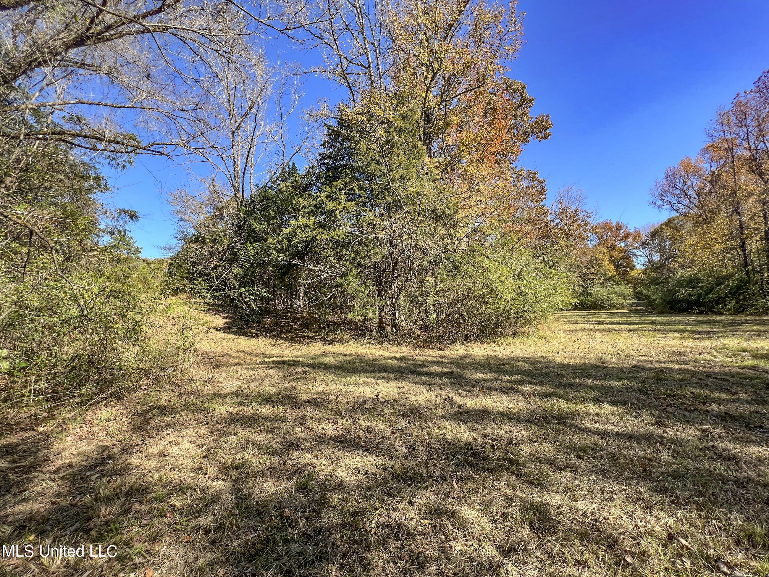 500 Westbrook Road Courtland, MS 38620 - Photo 49 of 156 cprk20