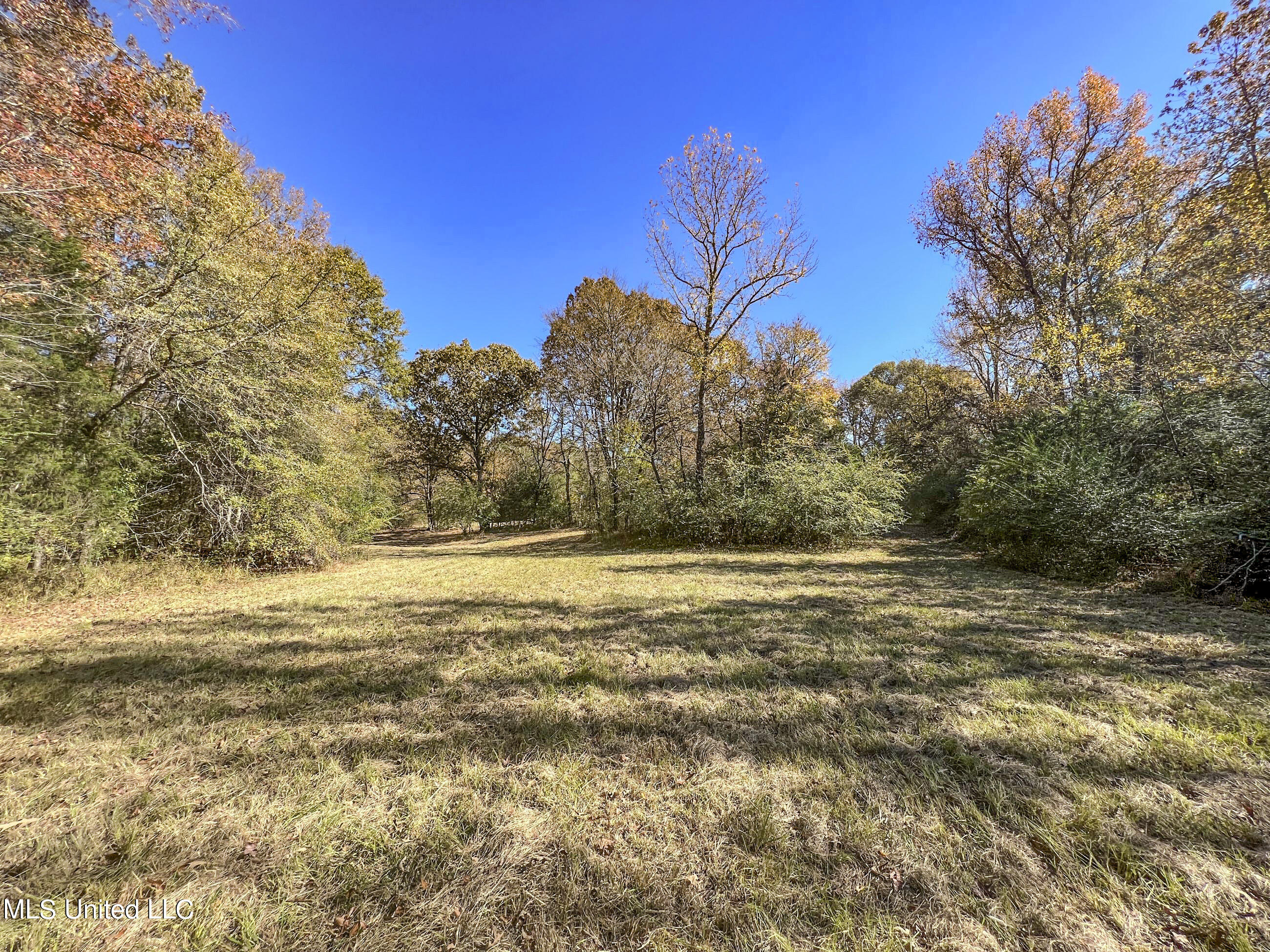 500 Westbrook Road Courtland, MS 38620 - Photo 50 of 156 cprk21