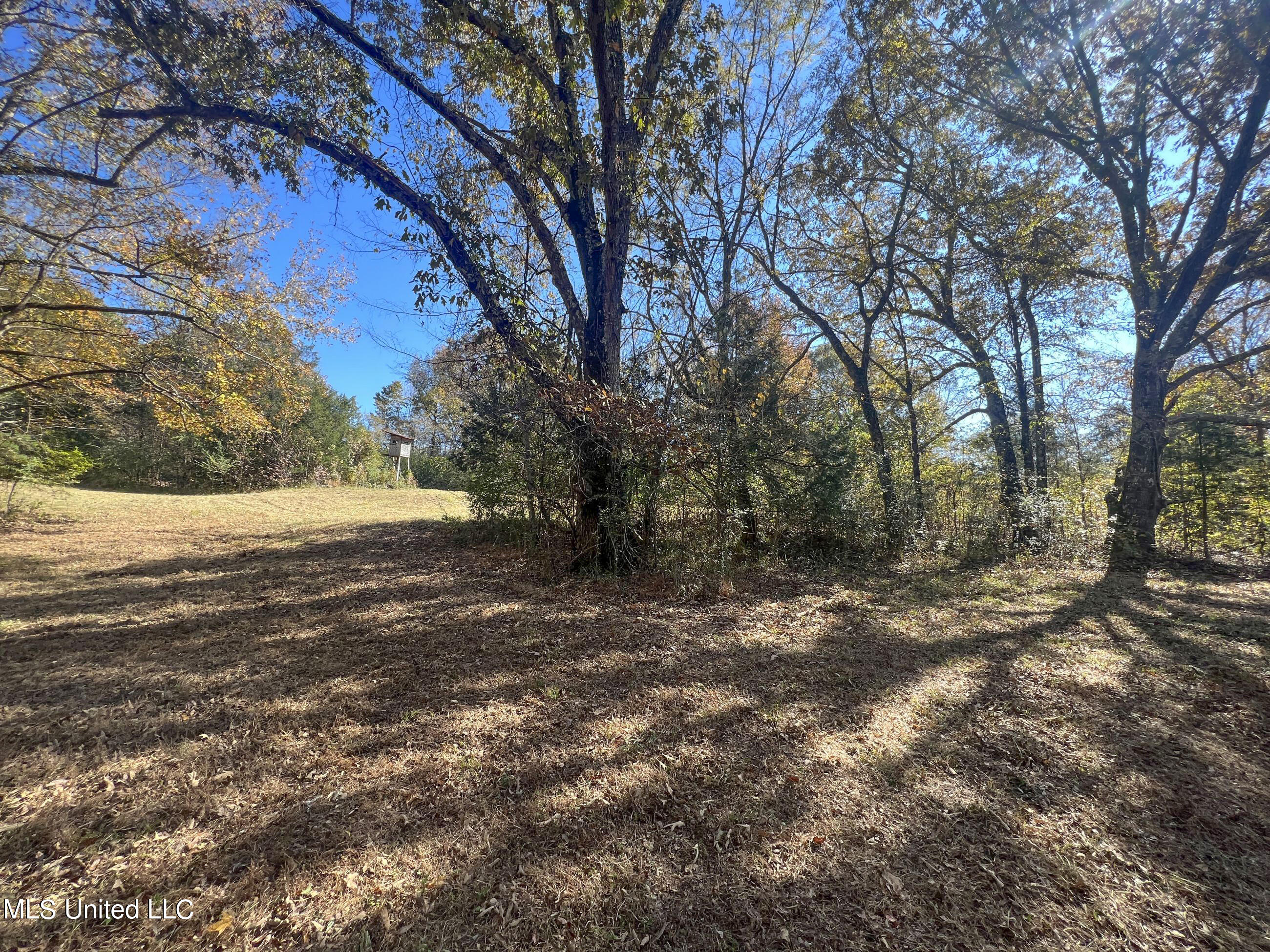 500 Westbrook Road Courtland, MS 38620 - Photo 52 of 156 cprk24