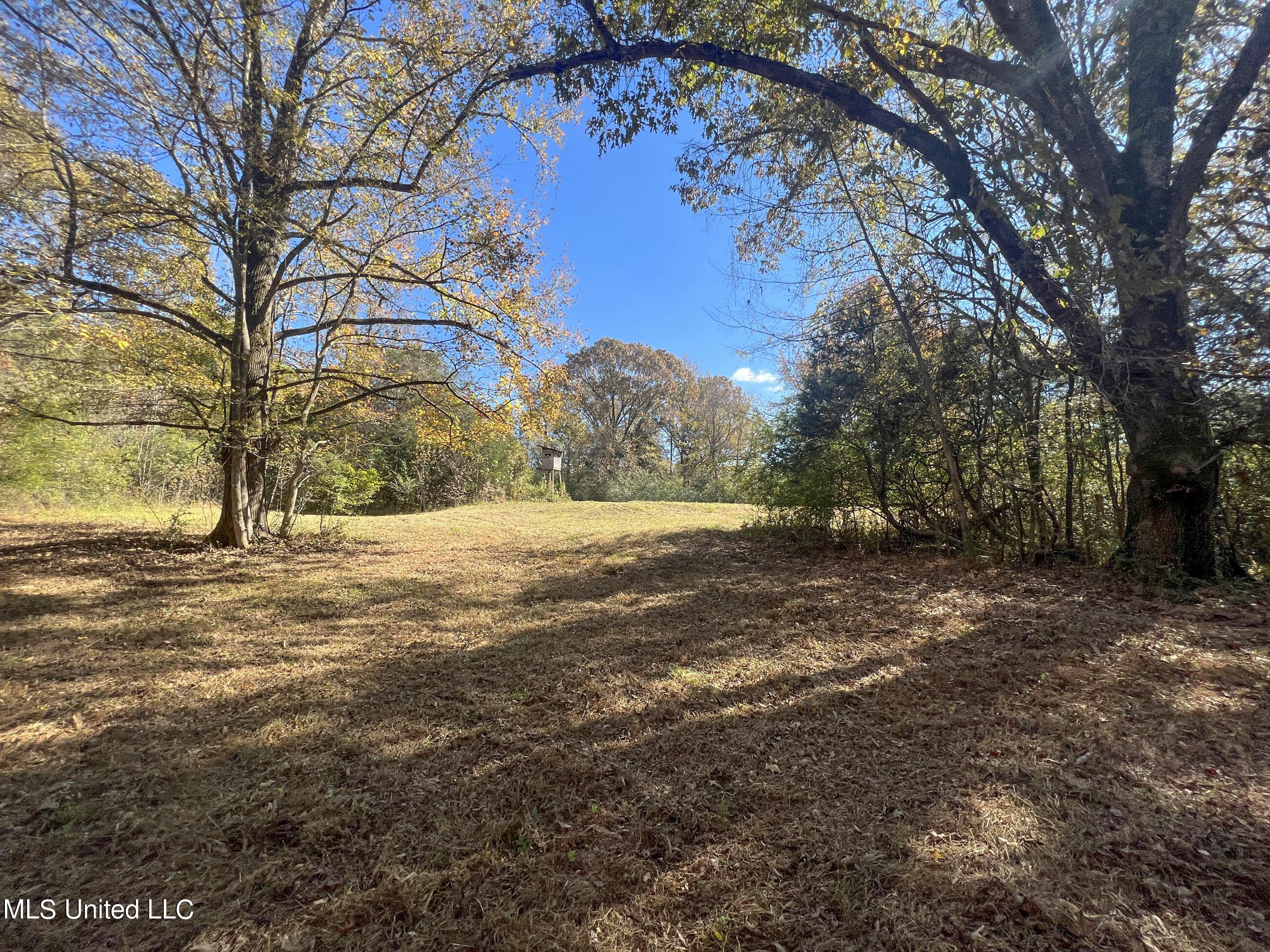 500 Westbrook Road Courtland, MS 38620 - Photo 53 of 156 cprk25