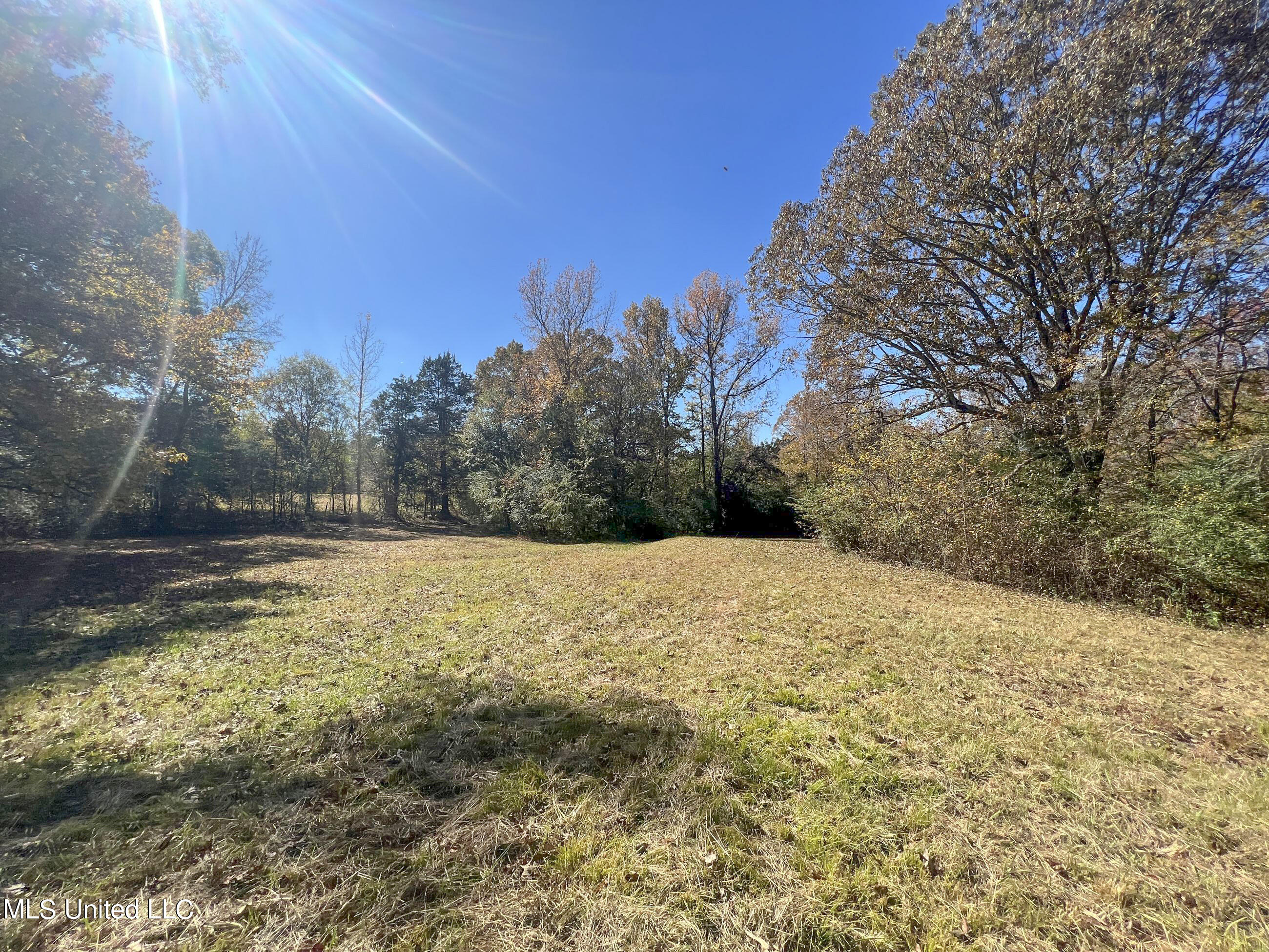 500 Westbrook Road Courtland, MS 38620 - Photo 54 of 156 cprk26
