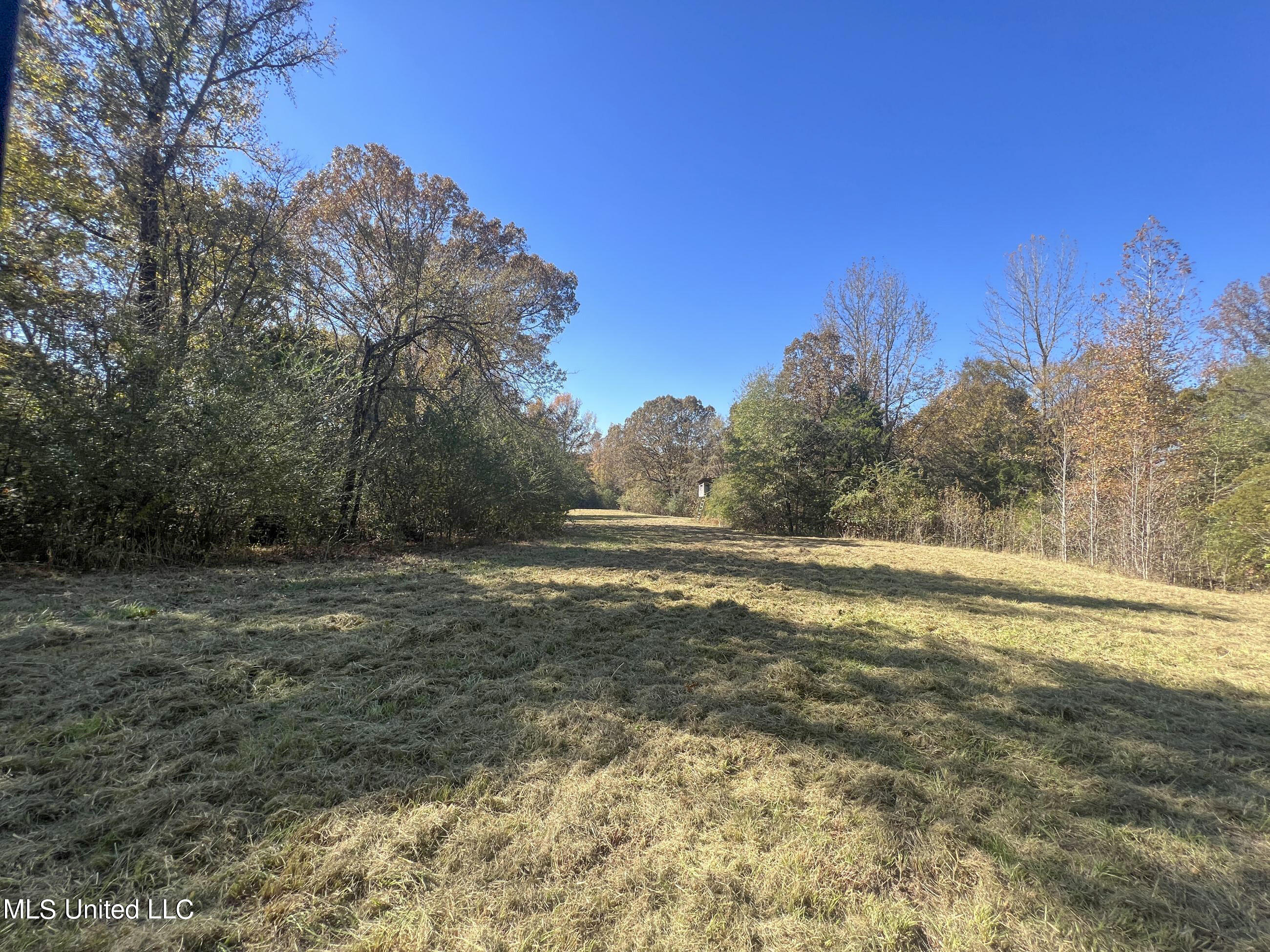 500 Westbrook Road Courtland, MS 38620 - Photo 56 of 156 cprk28