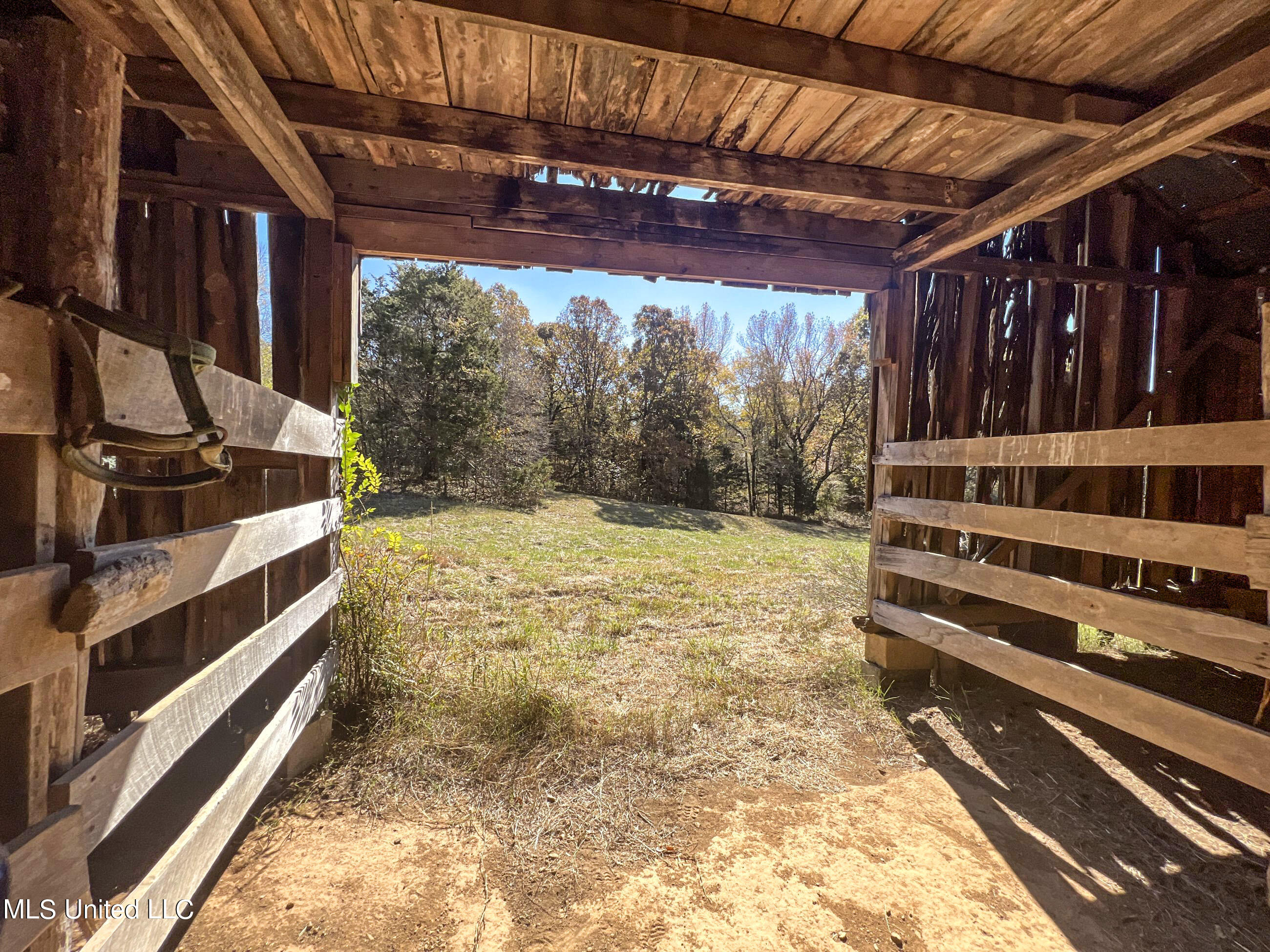 500 Westbrook Road Courtland, MS 38620 - Photo 66 of 156 cprk38