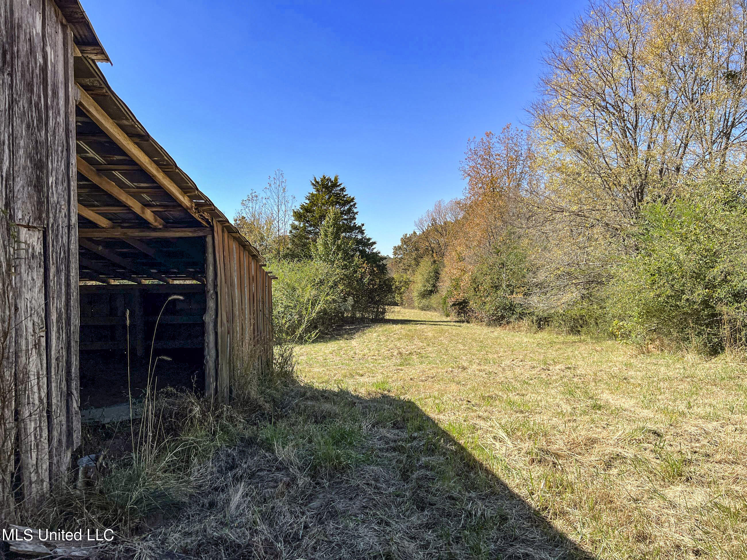 500 Westbrook Road Courtland, MS 38620 - Photo 68 of 156 cprk40