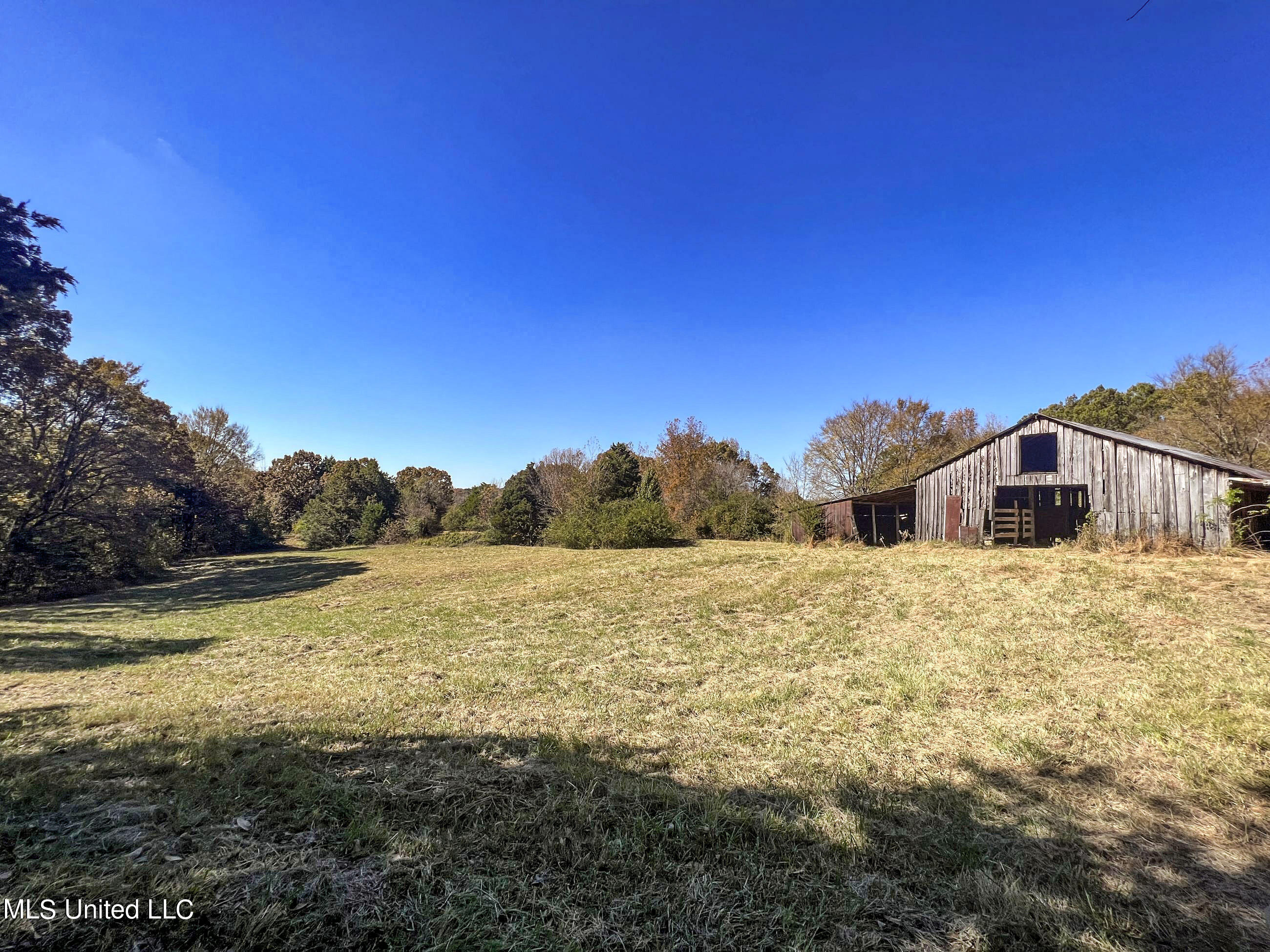 500 Westbrook Road Courtland, MS 38620 - Photo 69 of 156 cprk42