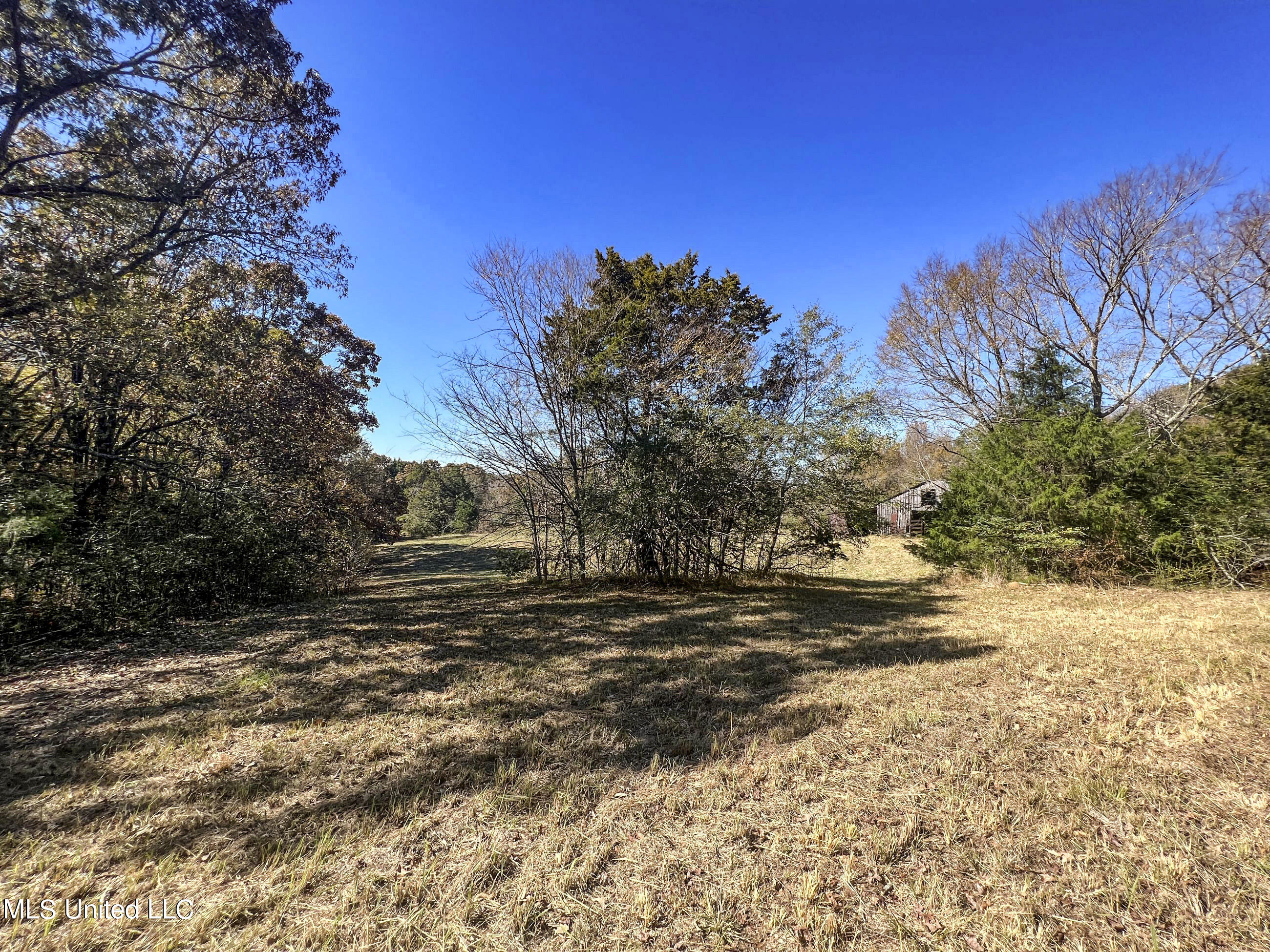 500 Westbrook Road Courtland, MS 38620 - Photo 70 of 156 cprk43