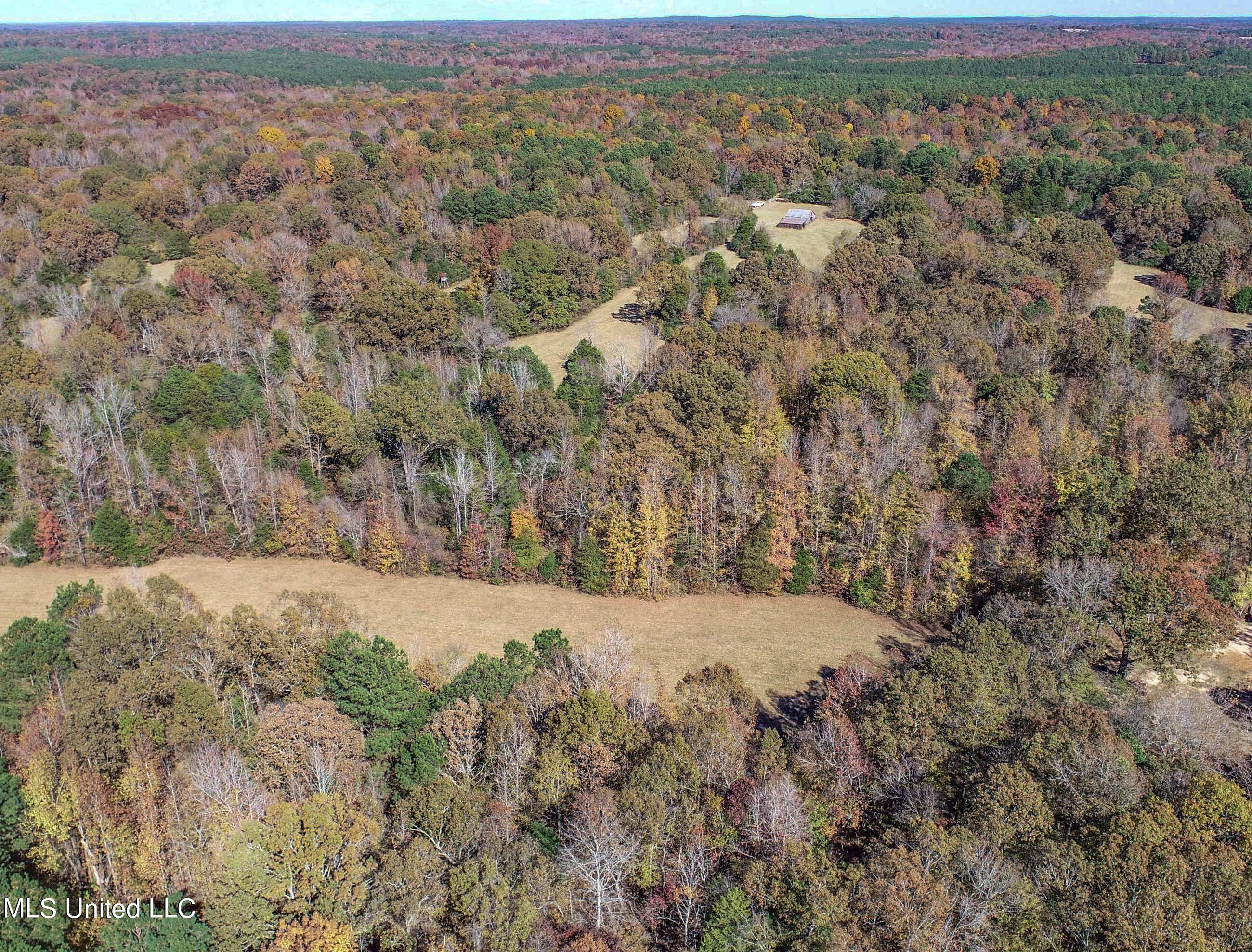 500 Westbrook Road Courtland, MS 38620 - Photo 7 of 156 3cprk1