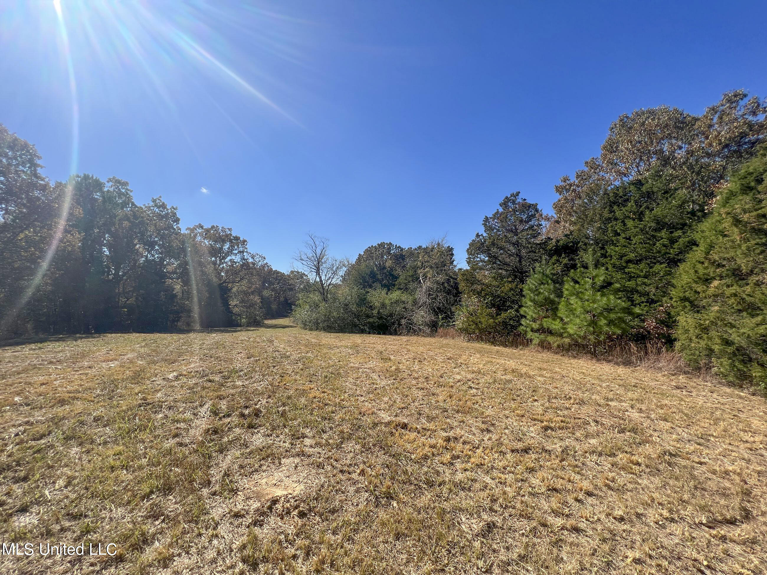 500 Westbrook Road Courtland, MS 38620 - Photo 72 of 156 cprk46