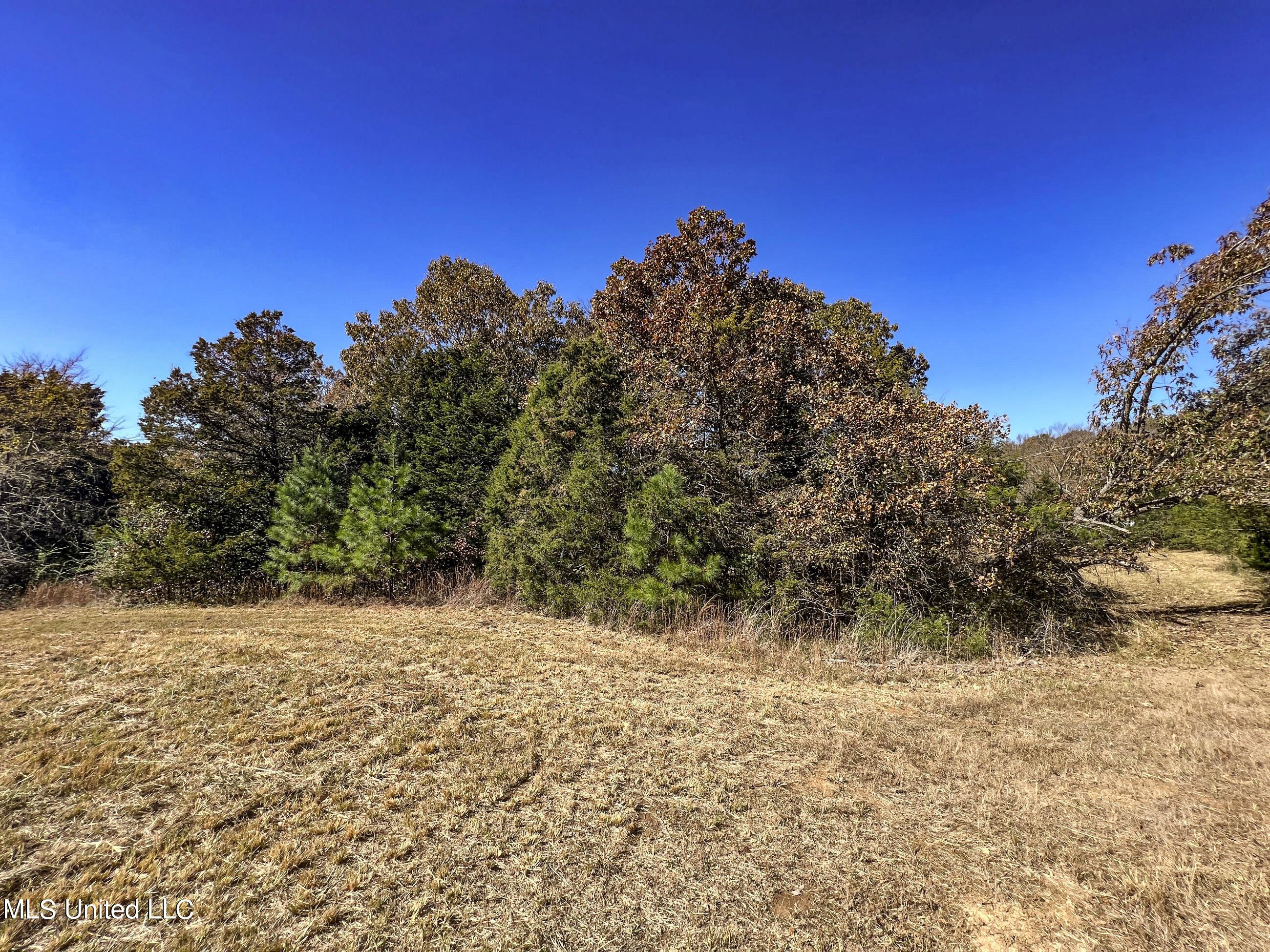 500 Westbrook Road Courtland, MS 38620 - Photo 73 of 156 cprk47