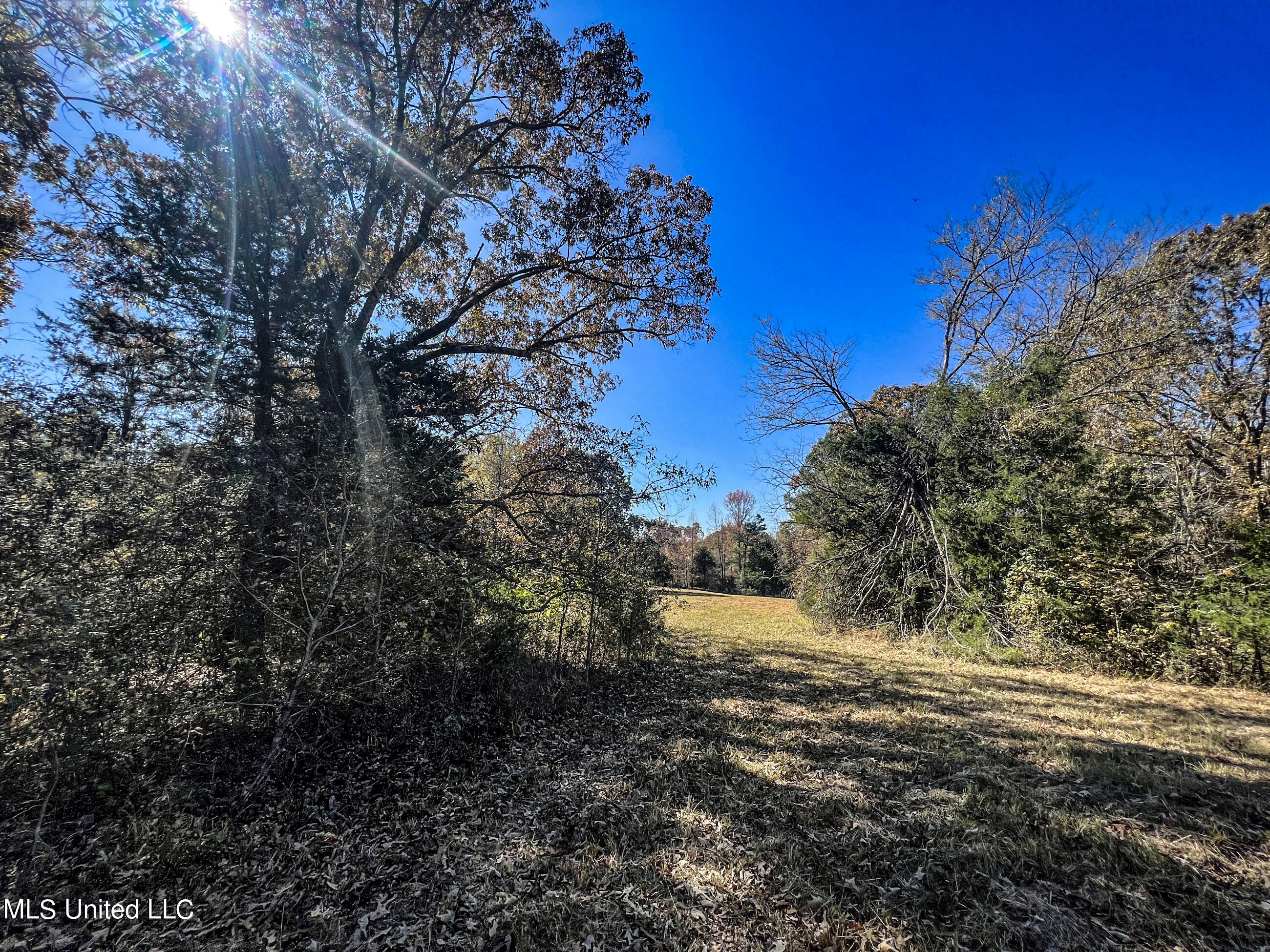 500 Westbrook Road Courtland, MS 38620 - Photo 74 of 156 cprk48