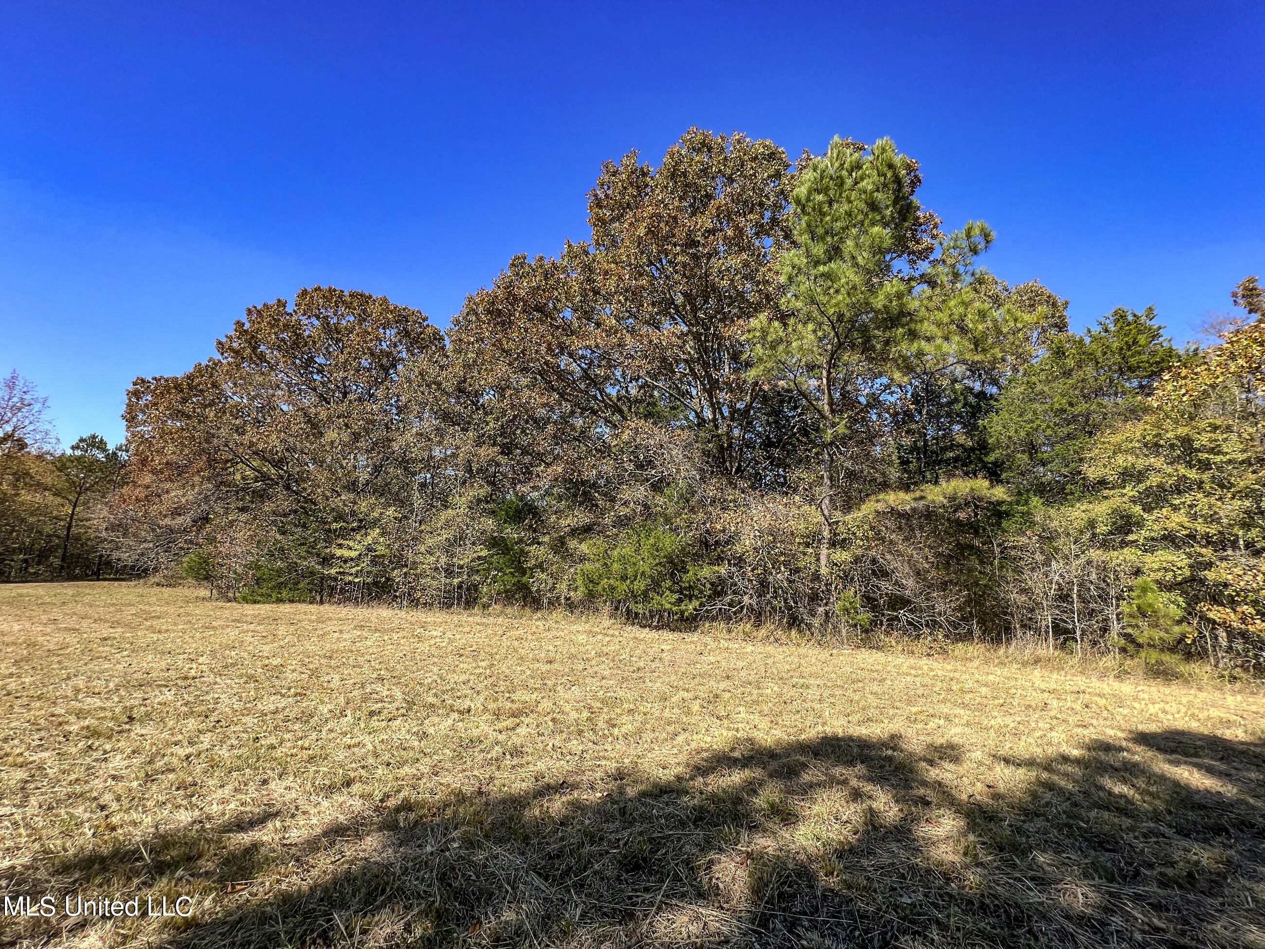 500 Westbrook Road Courtland, MS 38620 - Photo 75 of 156 cprk49