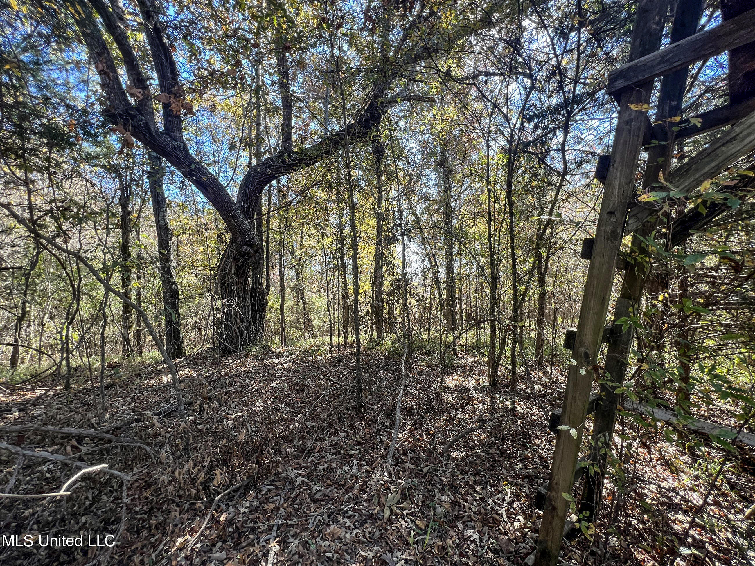 500 Westbrook Road Courtland, MS 38620 - Photo 76 of 156 cprk50