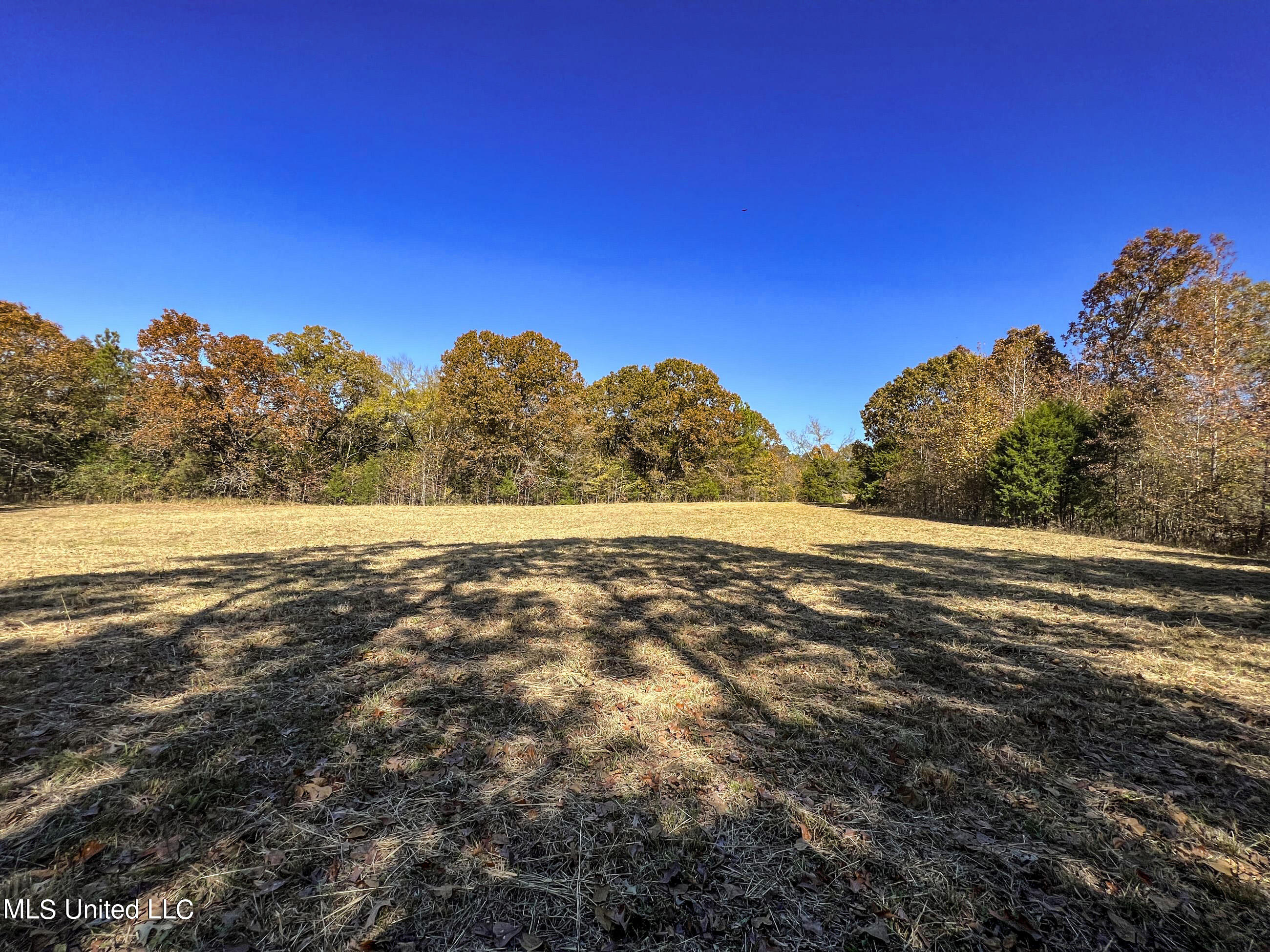 500 Westbrook Road Courtland, MS 38620 - Photo 79 of 156 cprk54