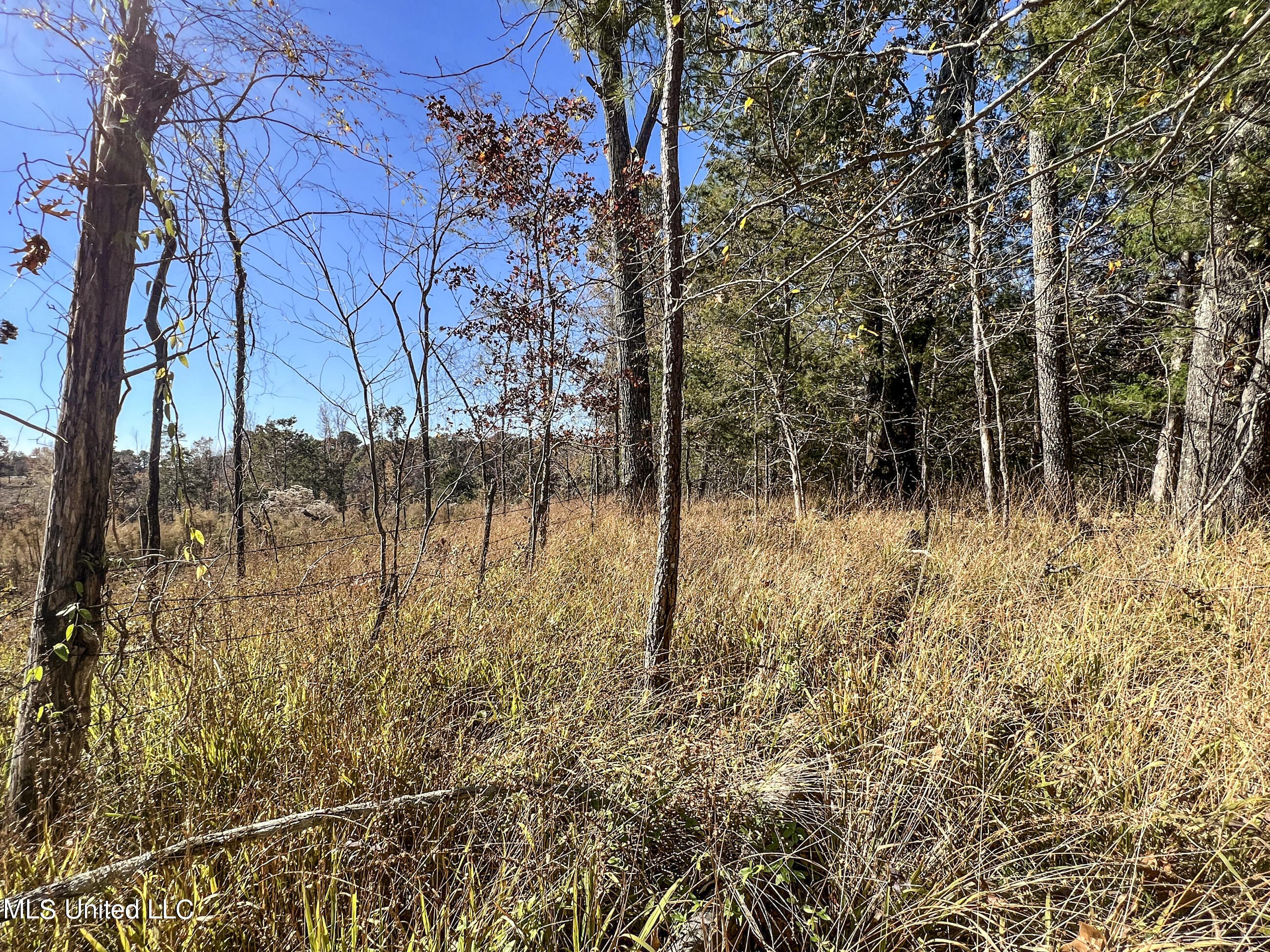 500 Westbrook Road Courtland, MS 38620 - Photo 80 of 156 cprk55