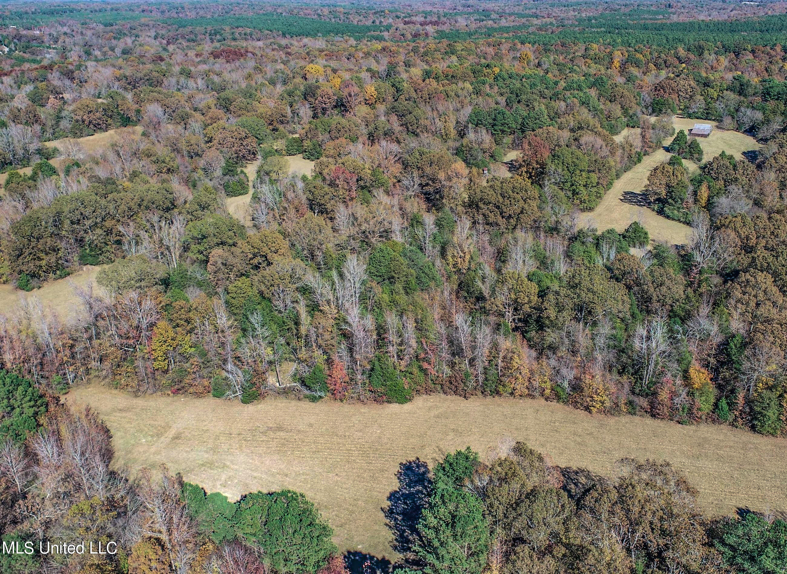 500 Westbrook Road Courtland, MS 38620 - Photo 8 of 156 3cprk2