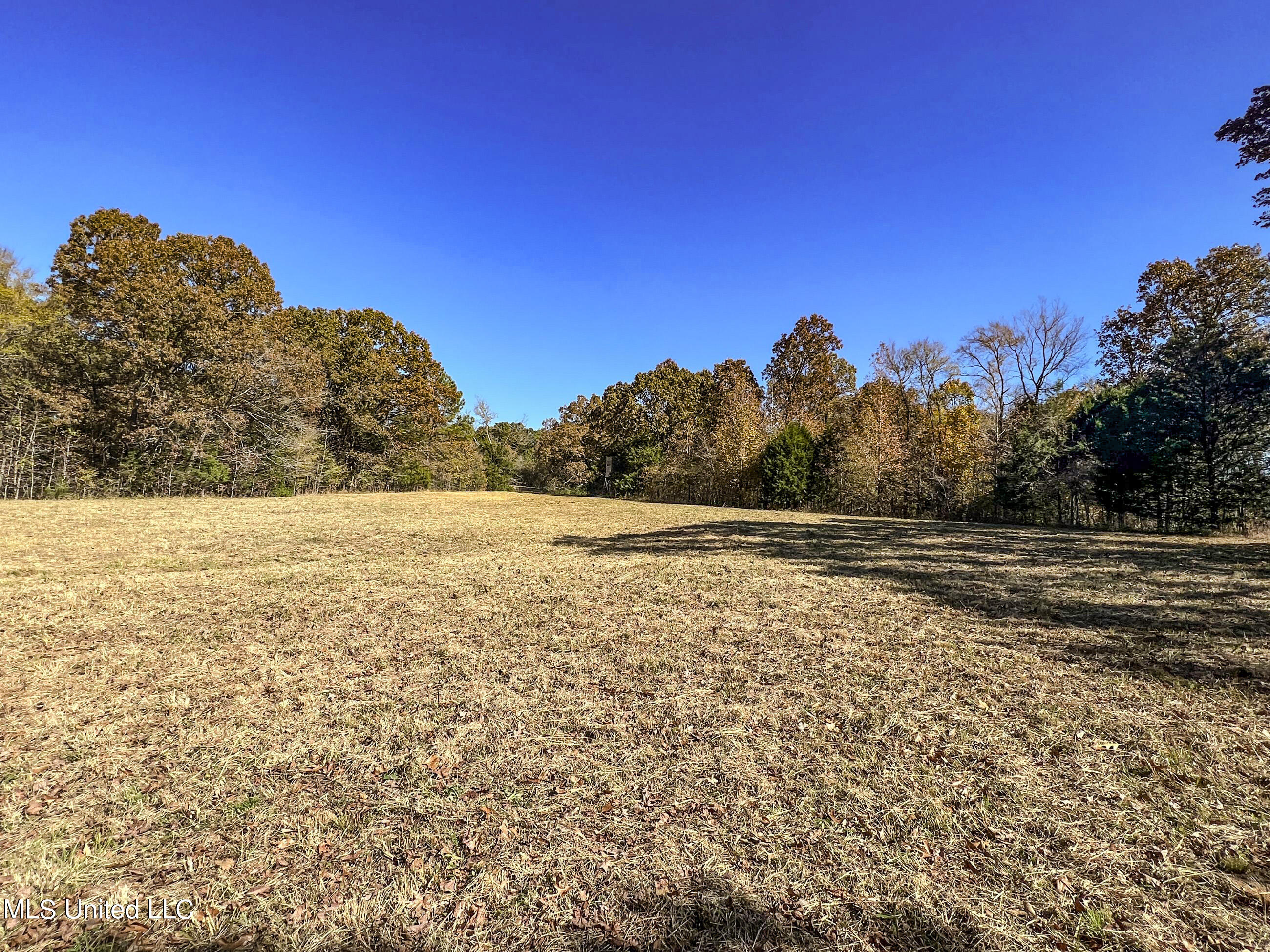 500 Westbrook Road Courtland, MS 38620 - Photo 81 of 156 cprk56