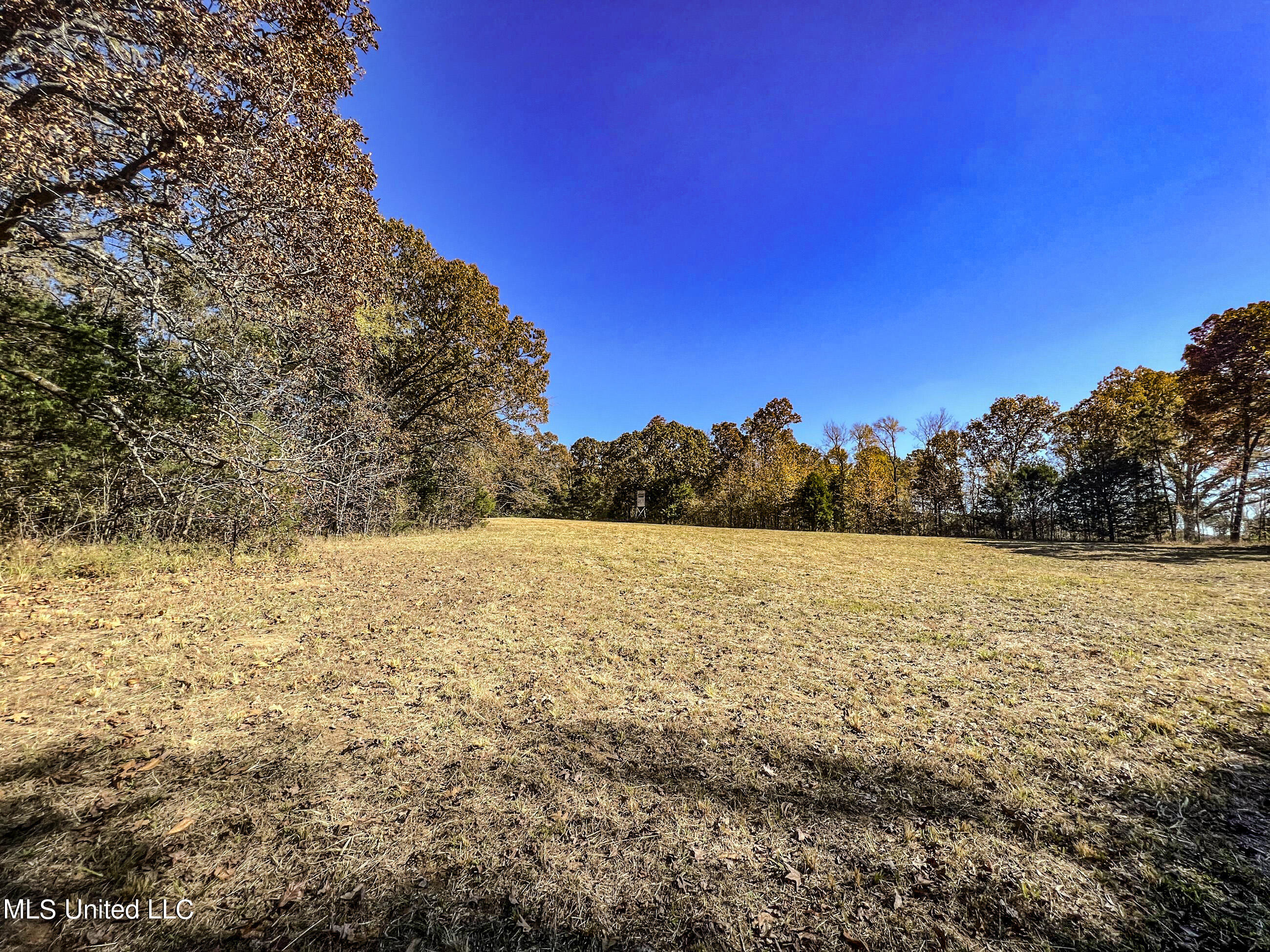 500 Westbrook Road Courtland, MS 38620 - Photo 83 of 156 cprk58