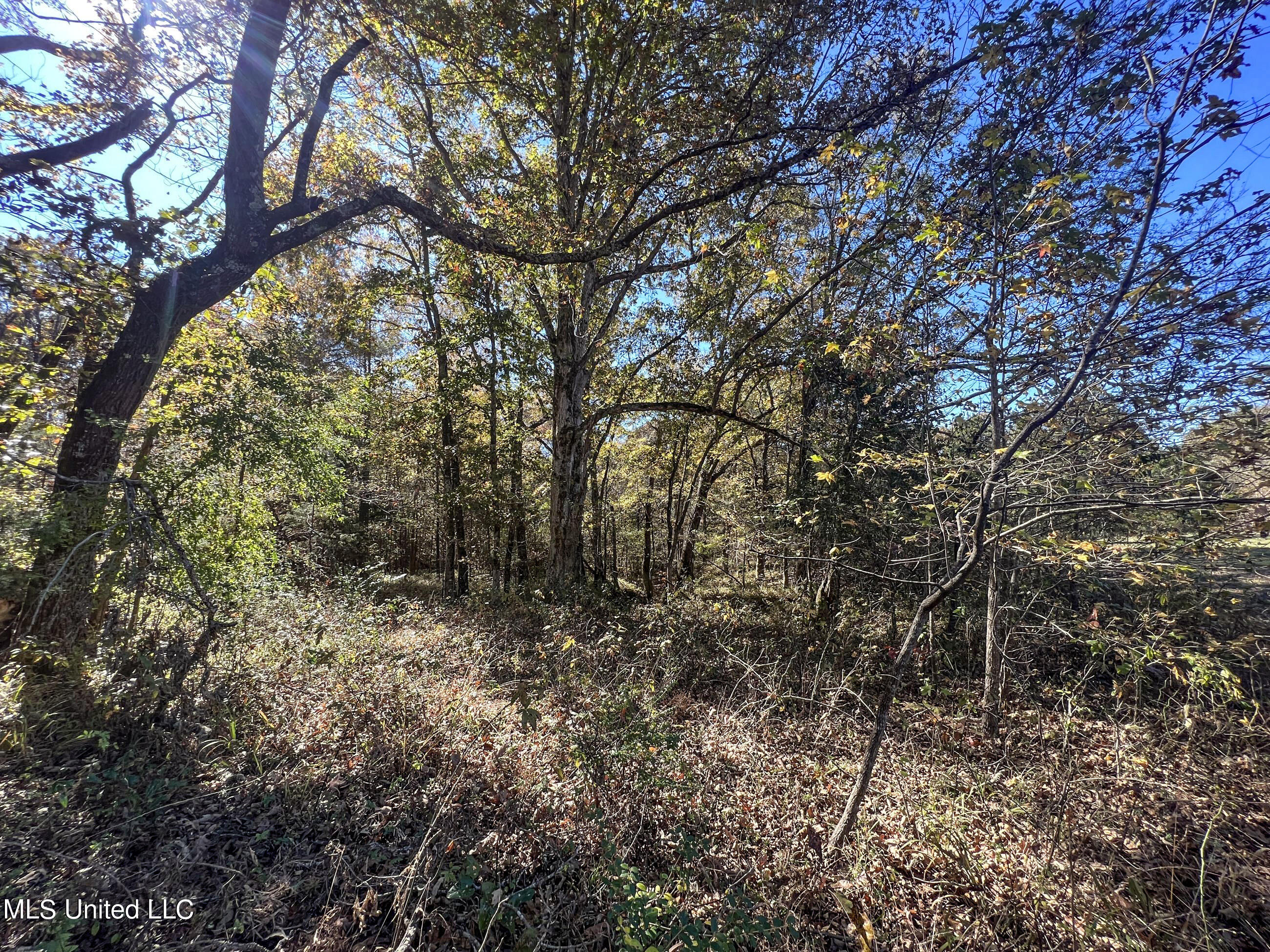 500 Westbrook Road Courtland, MS 38620 - Photo 86 of 156 cprk61