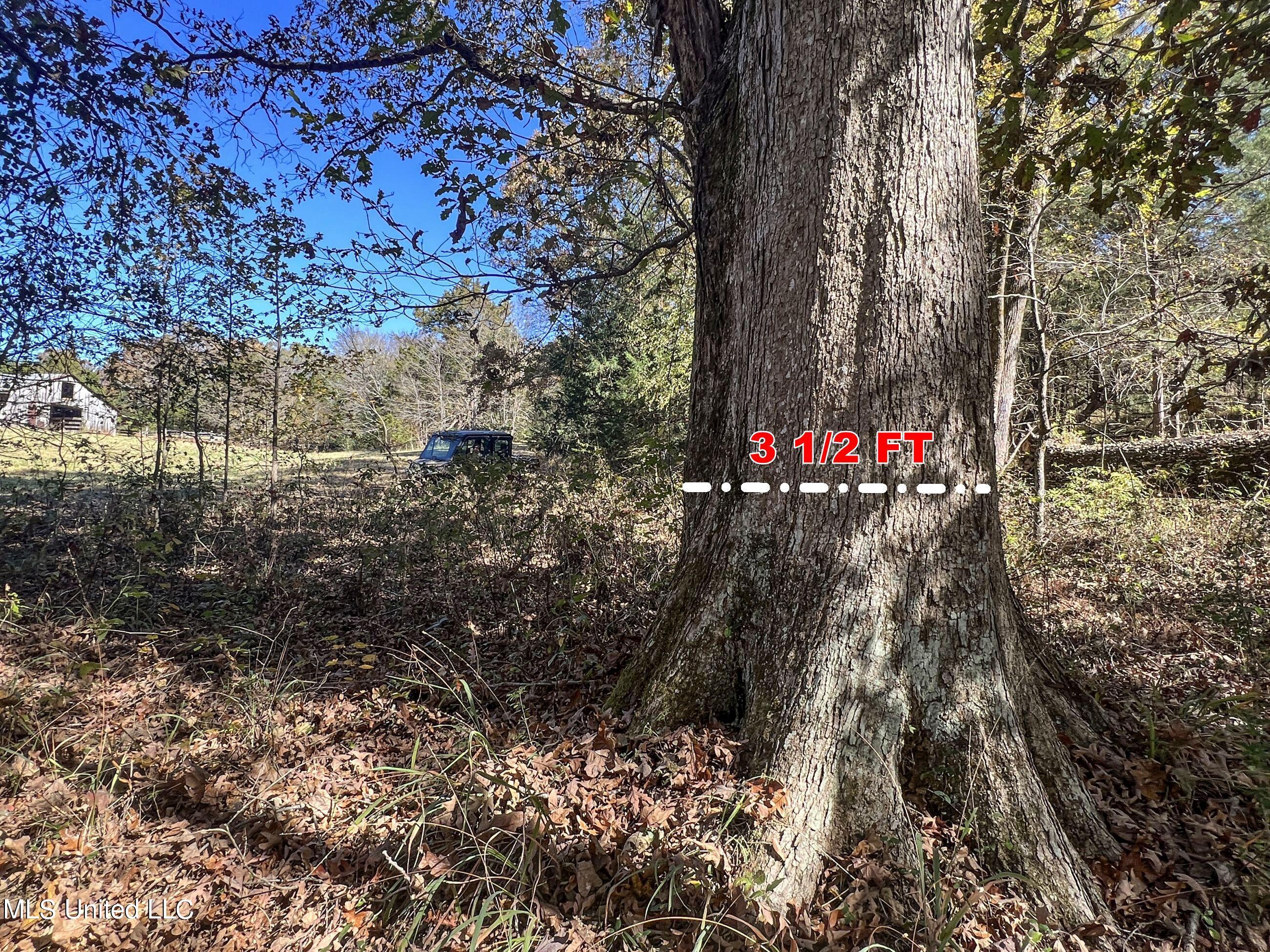 500 Westbrook Road Courtland, MS 38620 - Photo 93 of 156 cprk71a