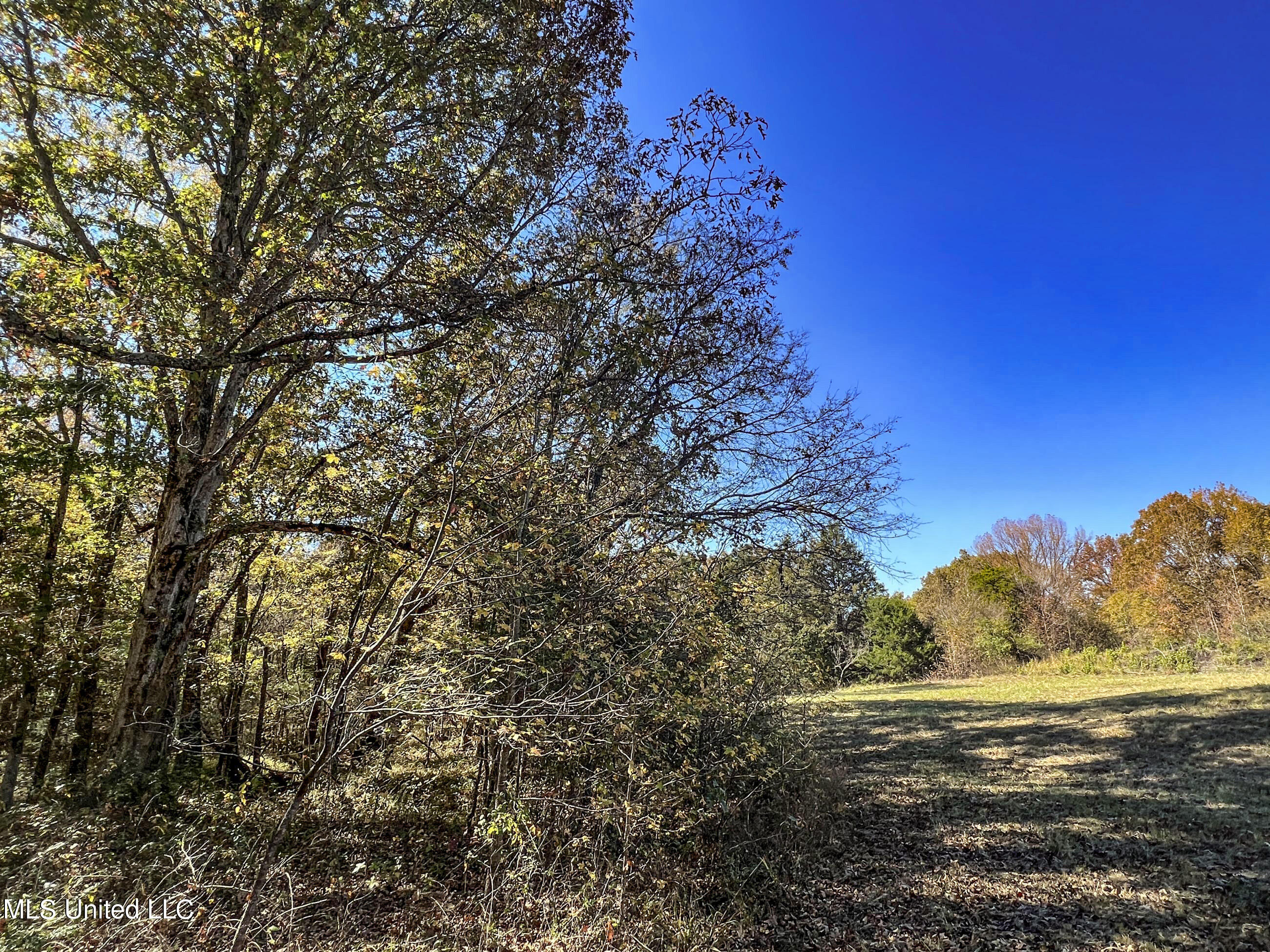 500 Westbrook Road Courtland, MS 38620 - Photo 96 of 156 cprk76
