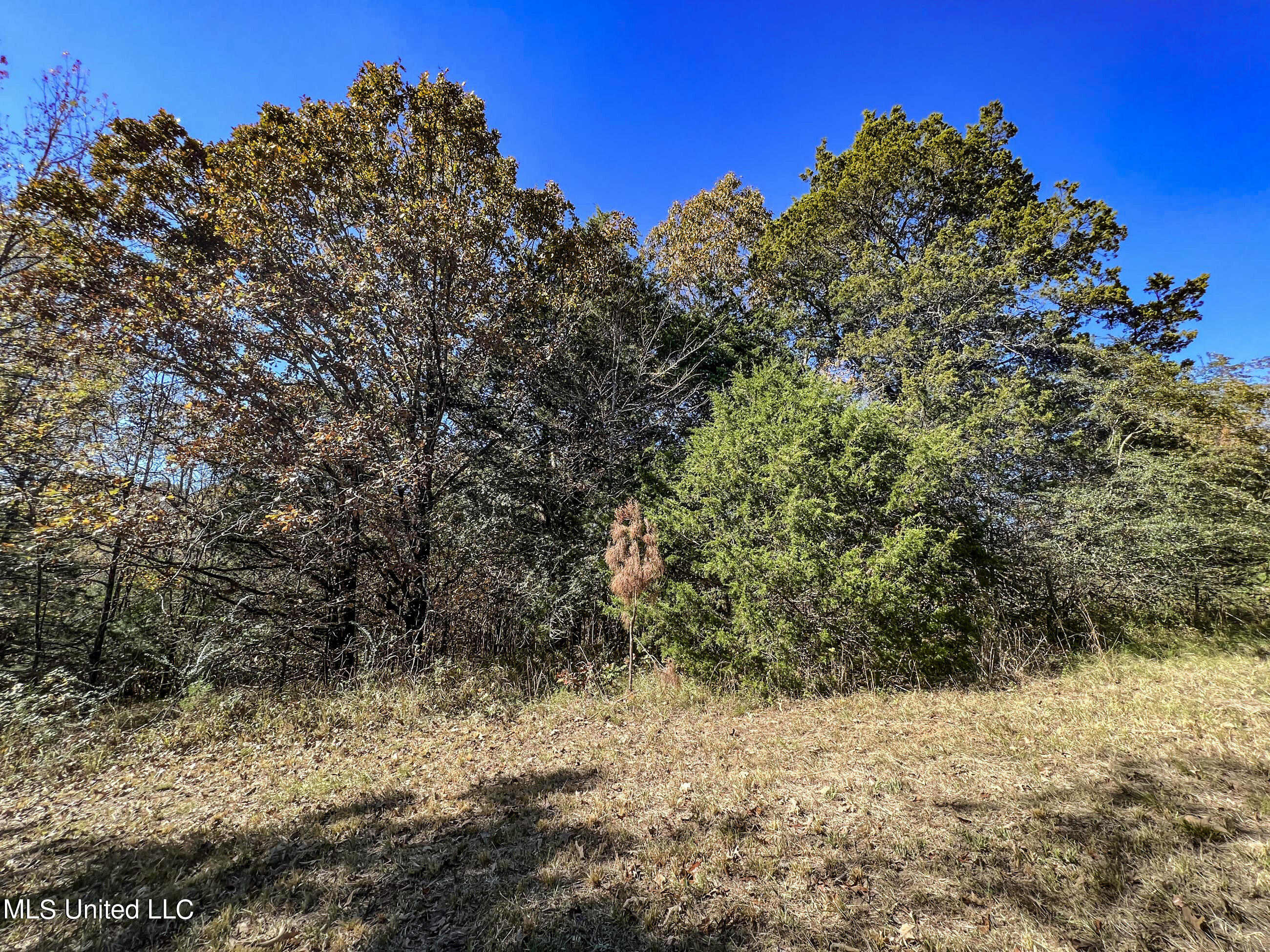 500 Westbrook Road Courtland, MS 38620 - Photo 97 of 156 cprk78