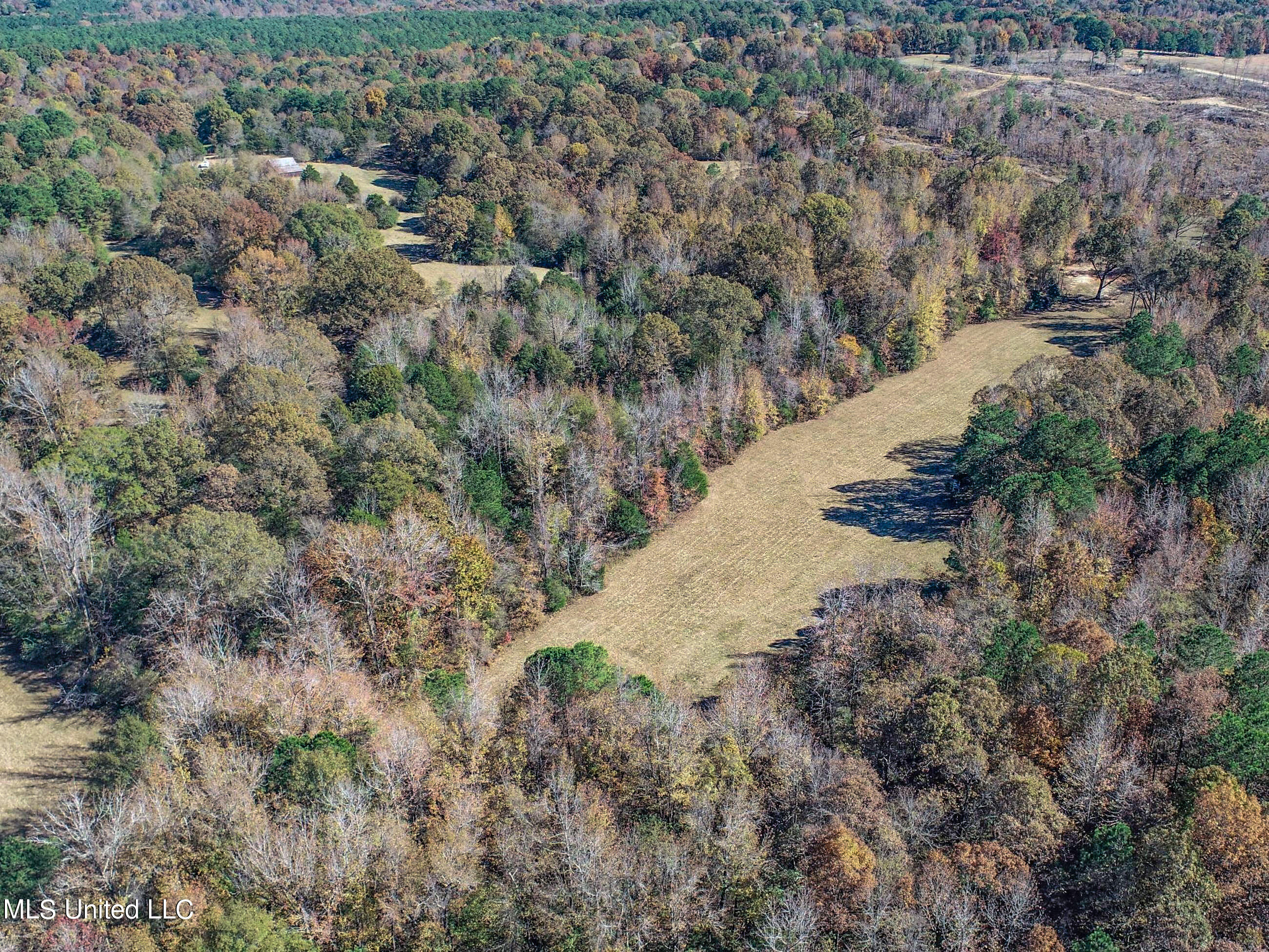 500 Westbrook Road Courtland, MS 38620 - Photo 10 of 156 3cprk4