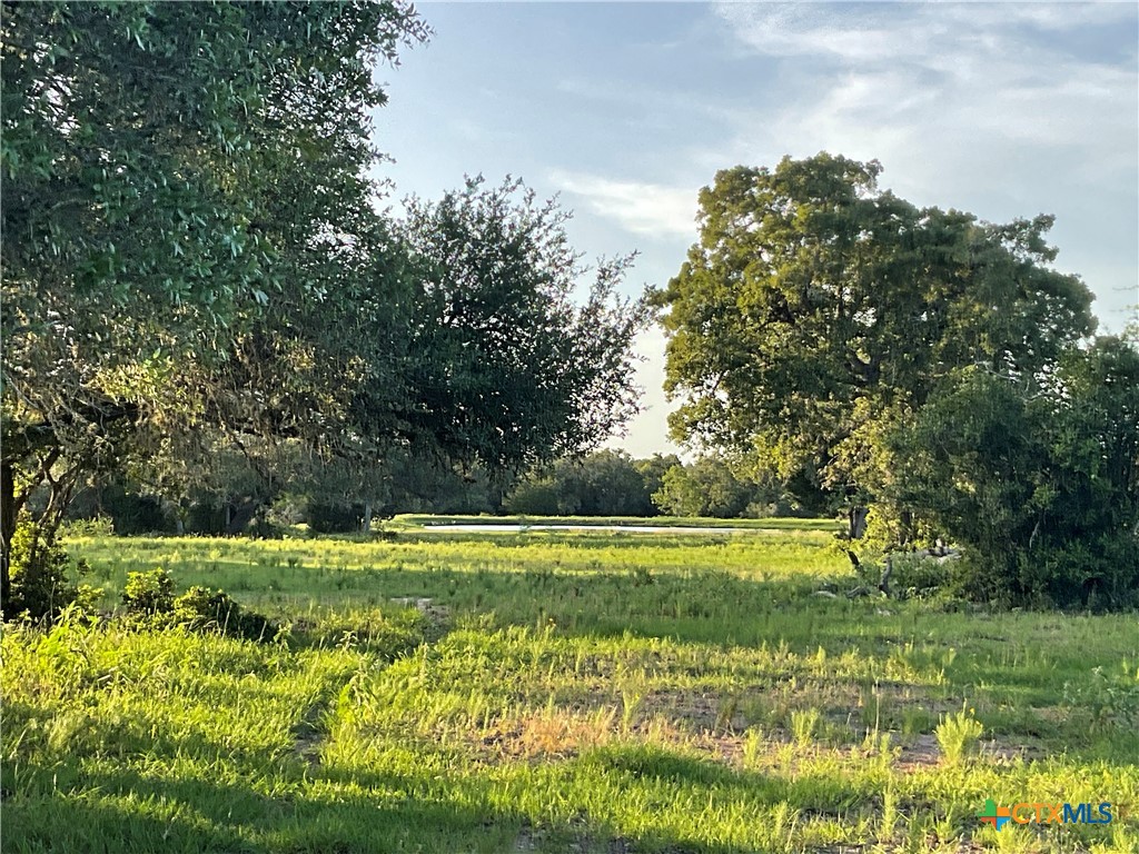 2826 Cattle Guard Road Cuero, TX 77954 - Photo 13 of 33 a view of a golf course with a lake