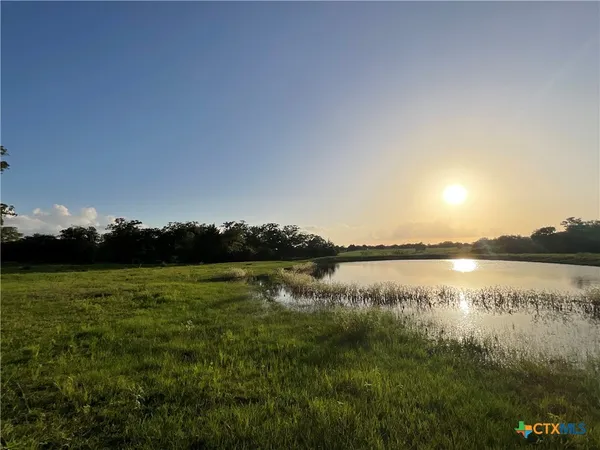 a view of a lake from a yard
