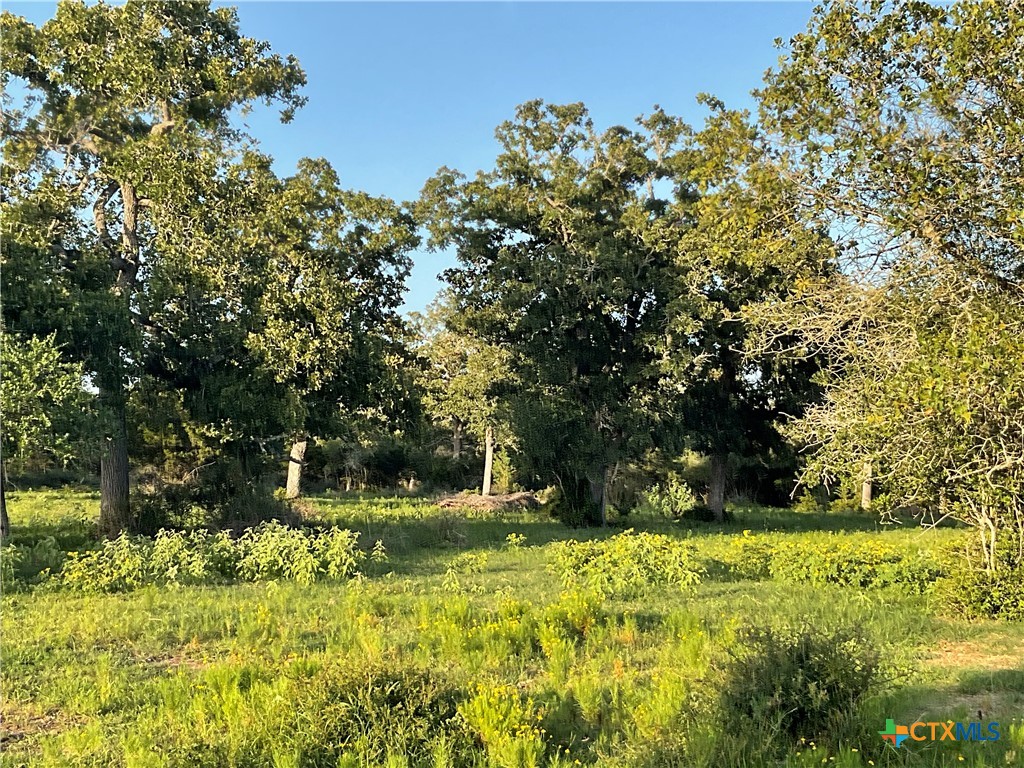 2826 Cattle Guard Road Cuero, TX 77954 - Photo 15 of 48