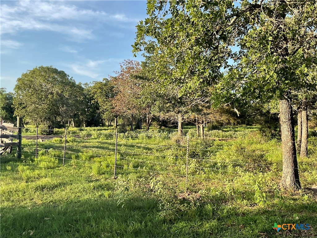 2826 Cattle Guard Road Cuero, TX 77954 - Photo 23 of 33 a garden view